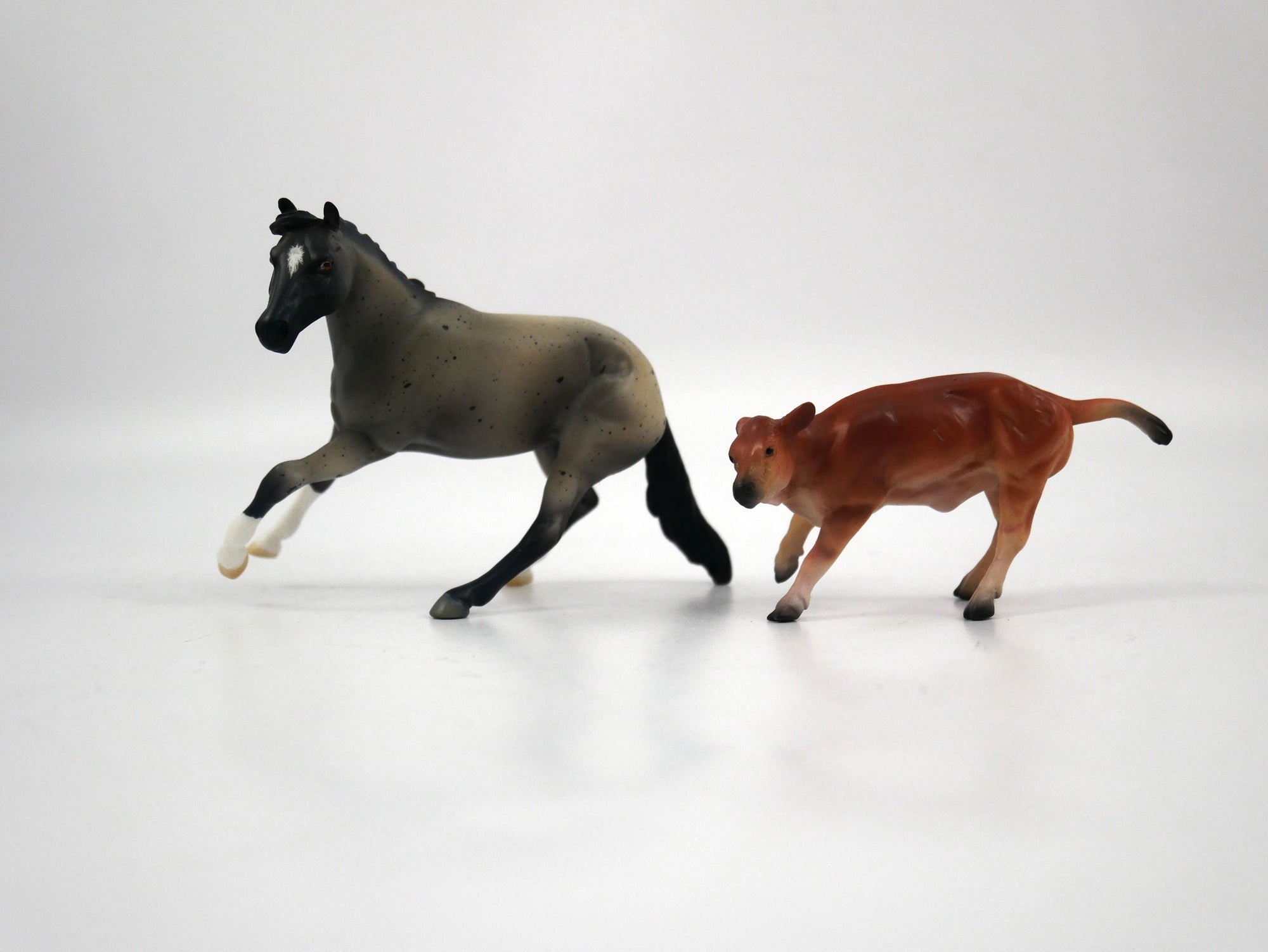 Sugar and Spice-OOAK Blue Roan and Calf Chip 1/27/21