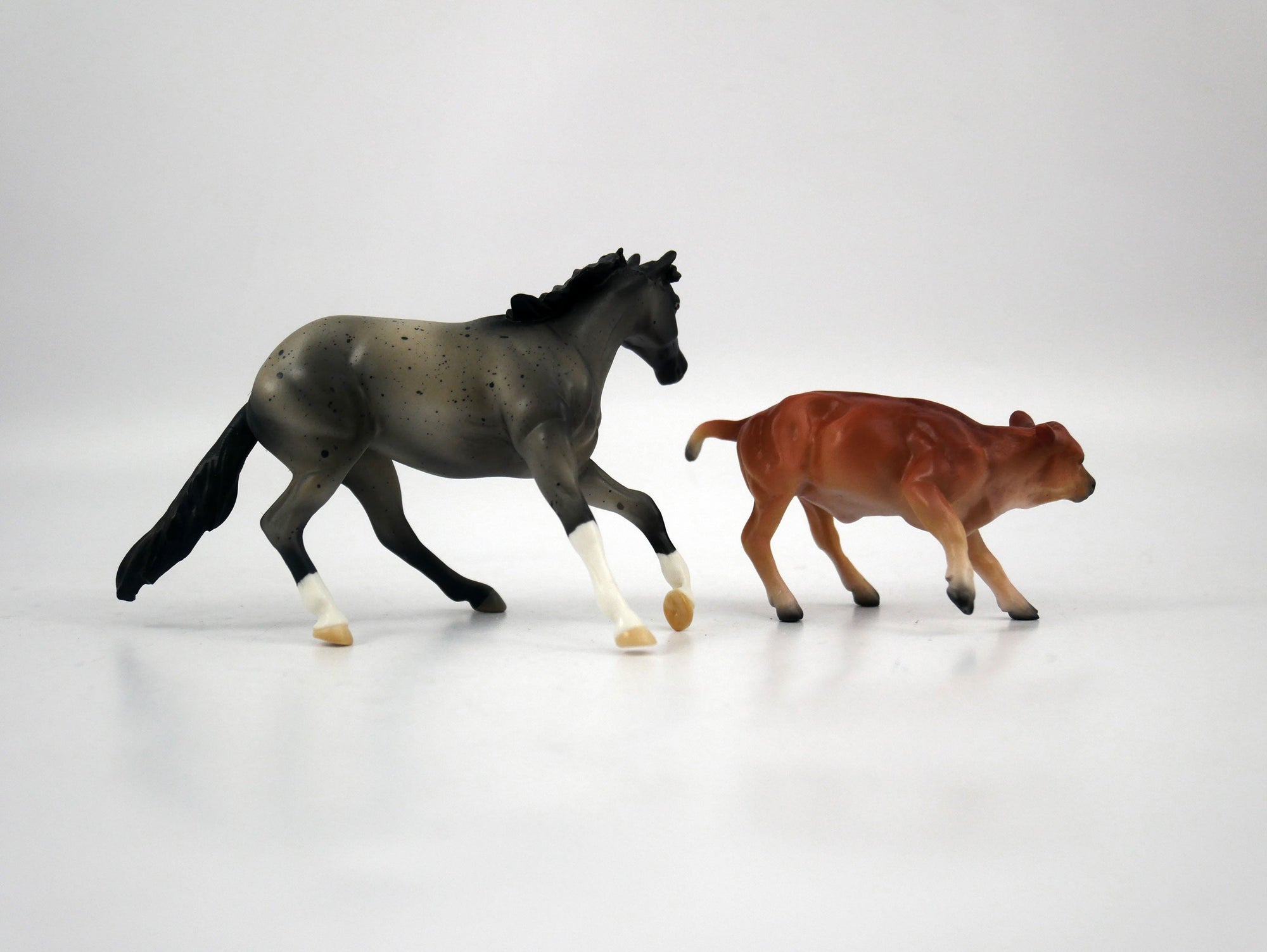 Sugar and Spice-OOAK Blue Roan and Calf Chip 1/27/21