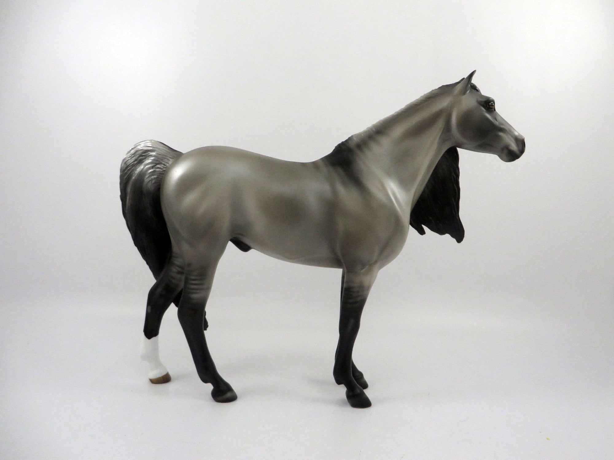 Sulphur-LE-9 Grulla Mustang&#39;s by Audrey Dixon 2/26/21