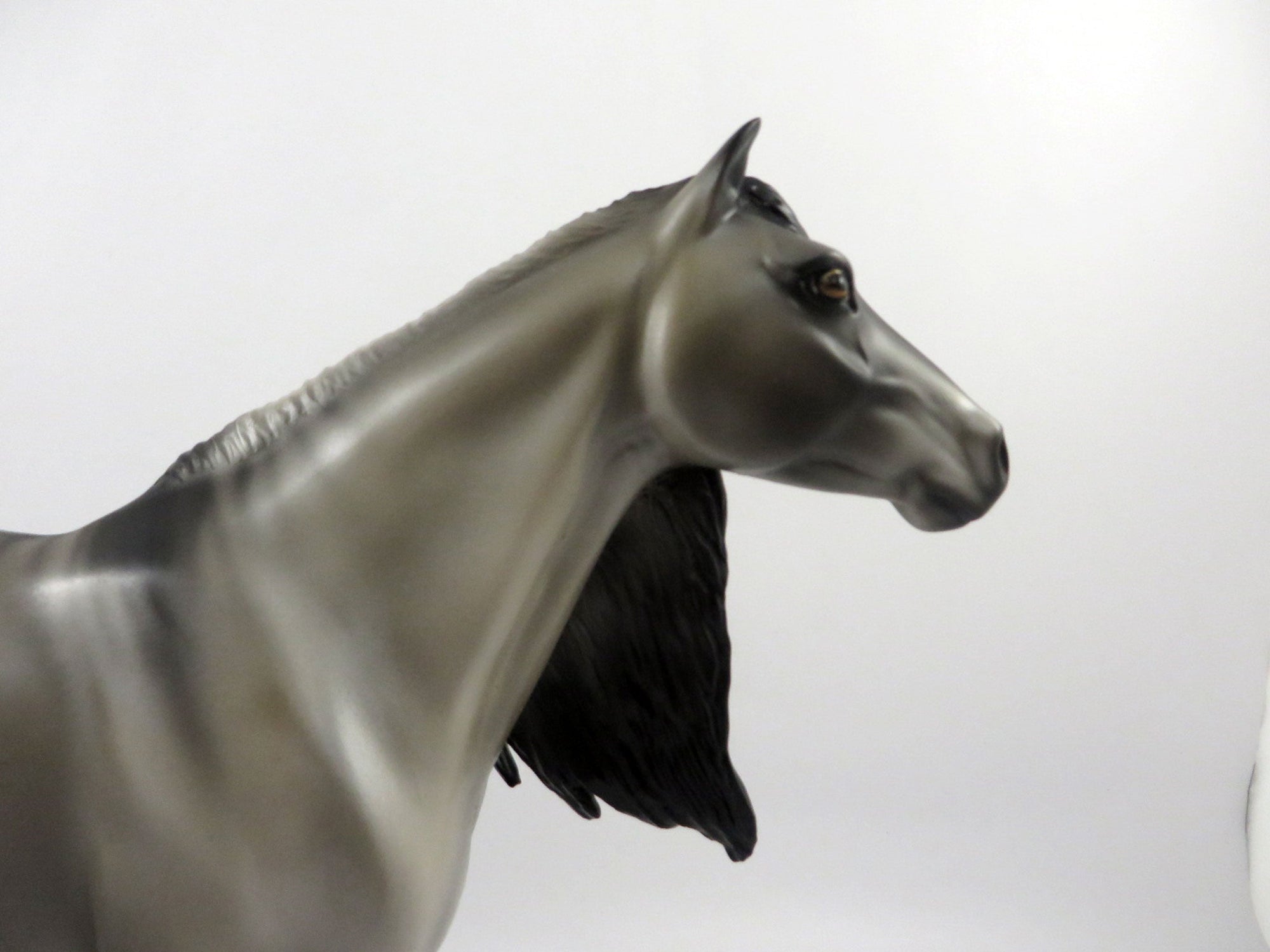 Sulphur-LE-9 Grulla Mustang&#39;s by Audrey Dixon 2/26/21