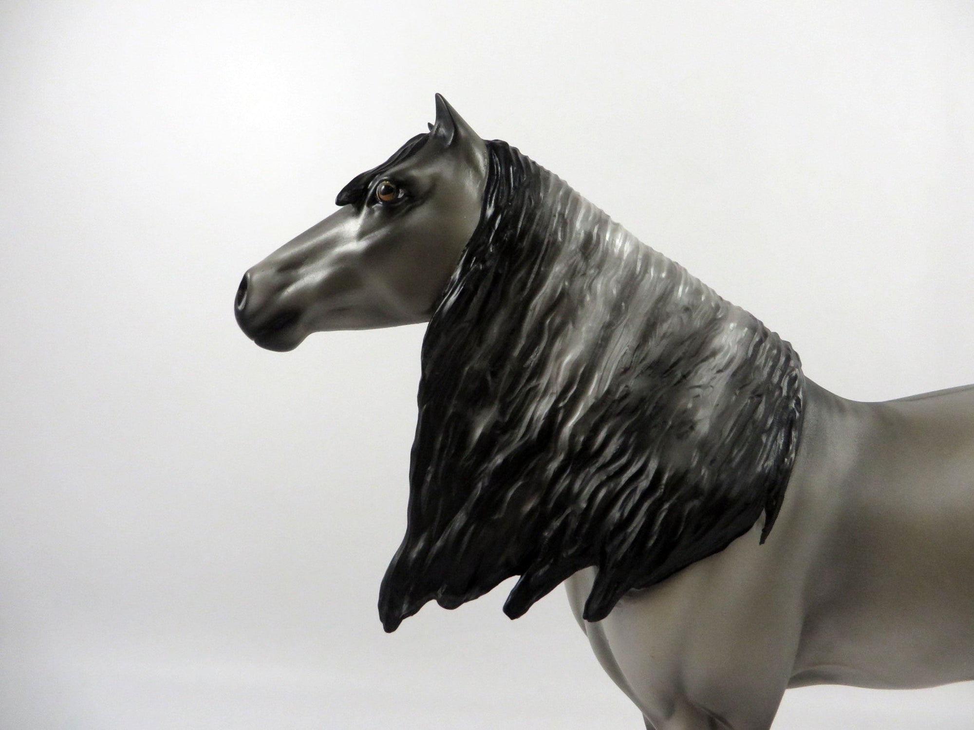 Sulphur-LE-9 Grulla Mustang&#39;s by Audrey Dixon 2/26/21