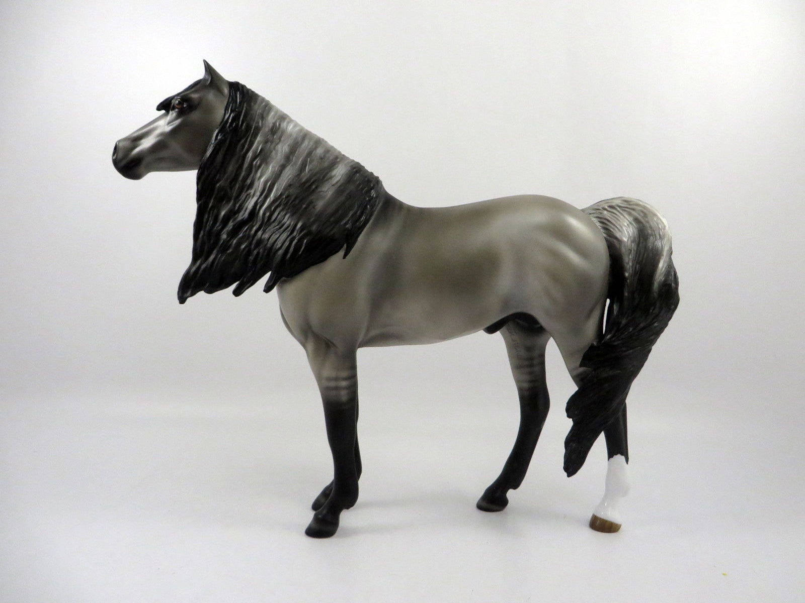 Sulphur-LE-9 Grulla Mustang's by Audrey Dixon 2/26/21