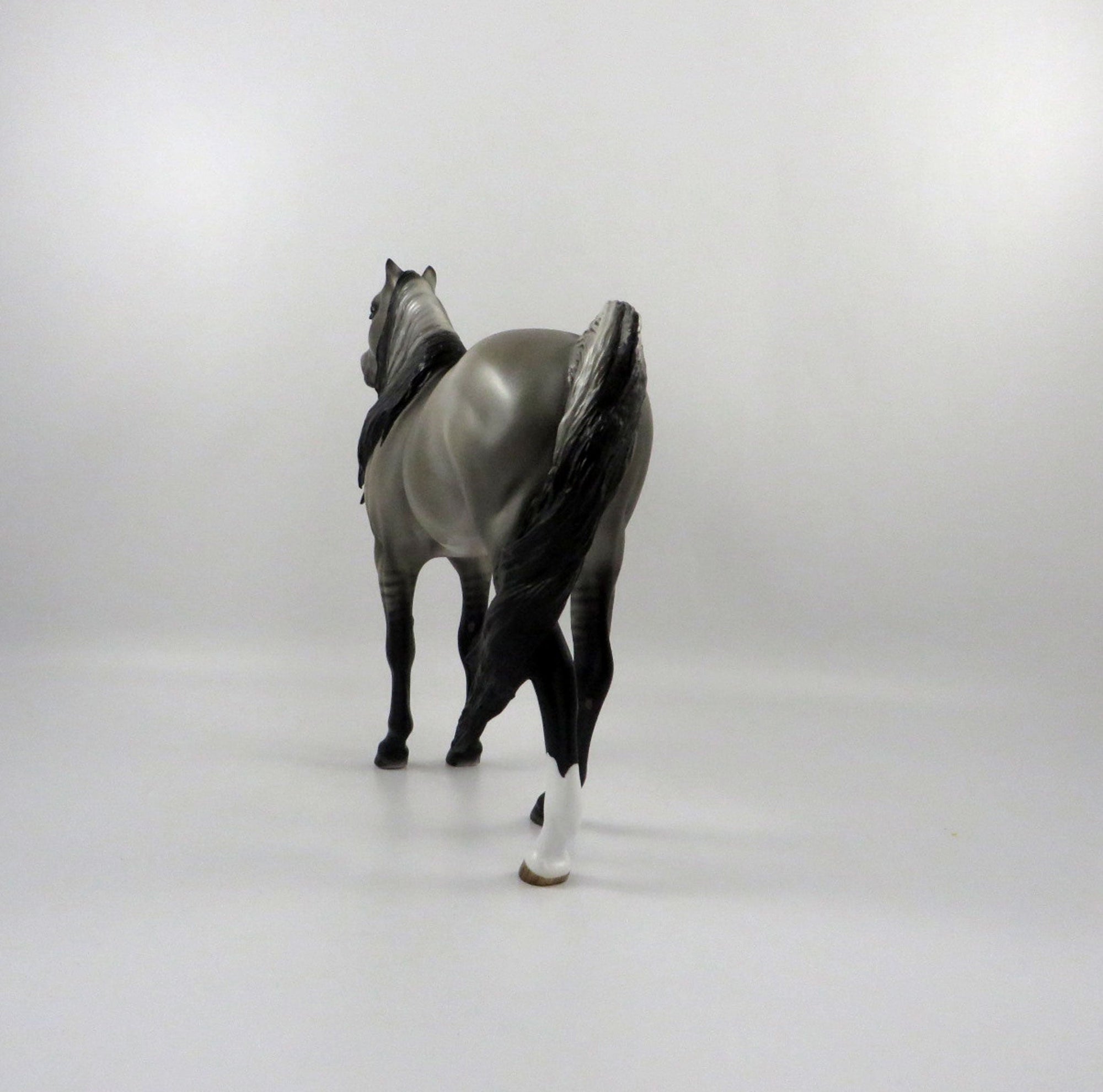 Sulphur-LE-9 Grulla Mustang&#39;s by Audrey Dixon 2/26/21