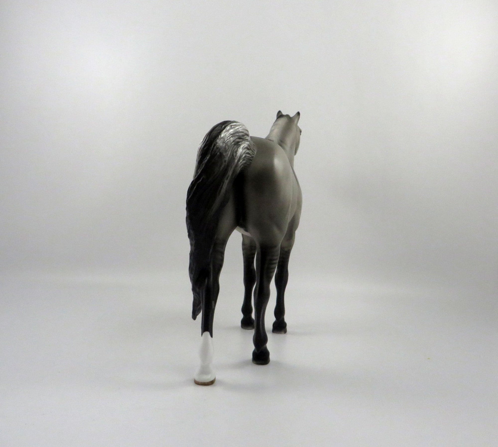 Sulphur-LE-9 Grulla Mustang&#39;s by Audrey Dixon 2/26/21