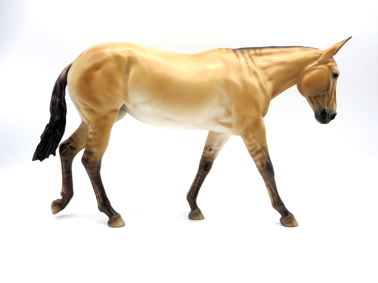 Summer-OOAK Dun Mule by Sheryl Leisure 9/6/22