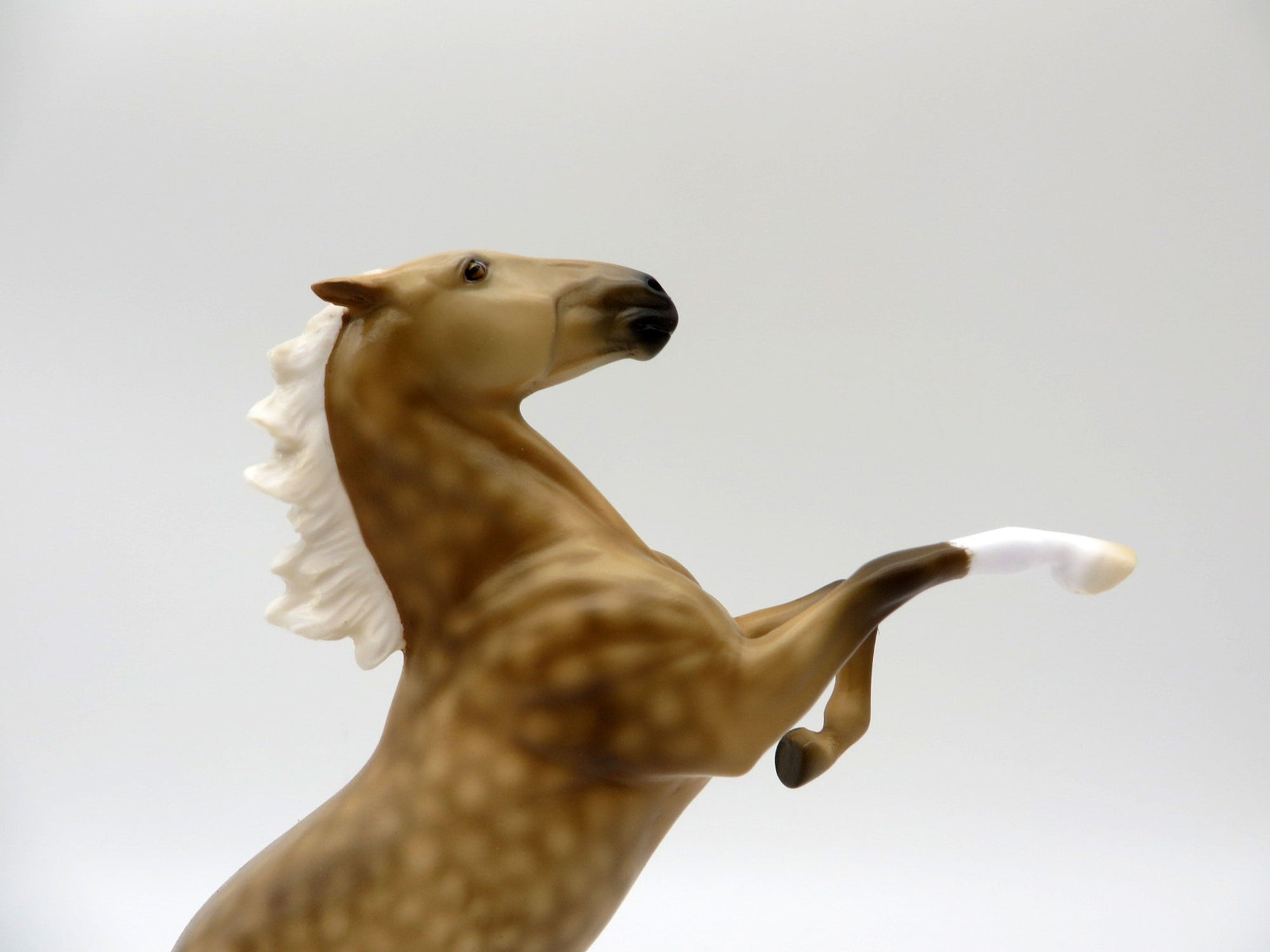 Sunglow-LE-6 Dapple Palomino Rearing Pebbles Painted By Dawn Quick 5/28/21