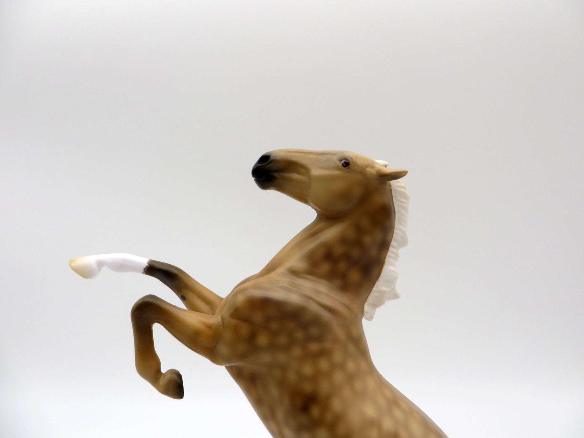 Sunglow-LE-6 Dapple Palomino Rearing Pebbles Painted By Dawn Quick 5/28/21