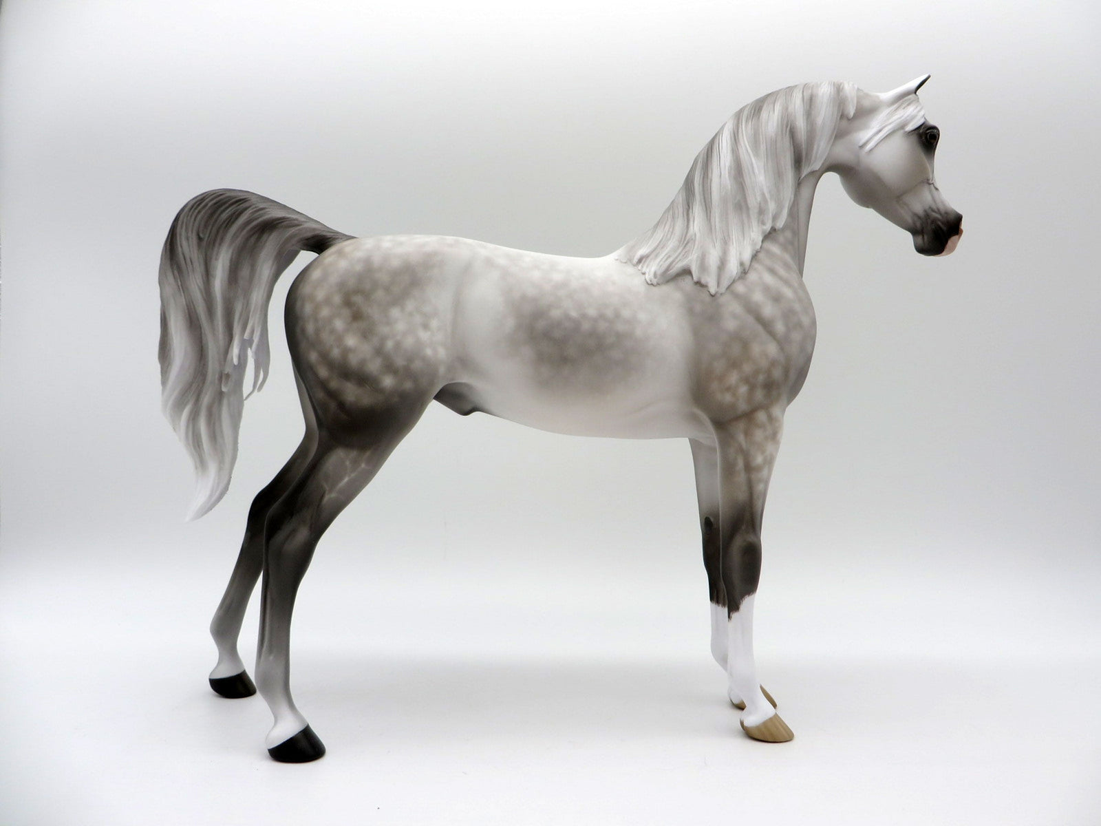 Sundae Everyday-OOAK Dapple Grey Arabian Painted By Sheryl Leisure 6/14/21