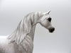 Sundae Everyday-OOAK Dapple Grey Arabian Painted By Sheryl Leisure 6/14/21