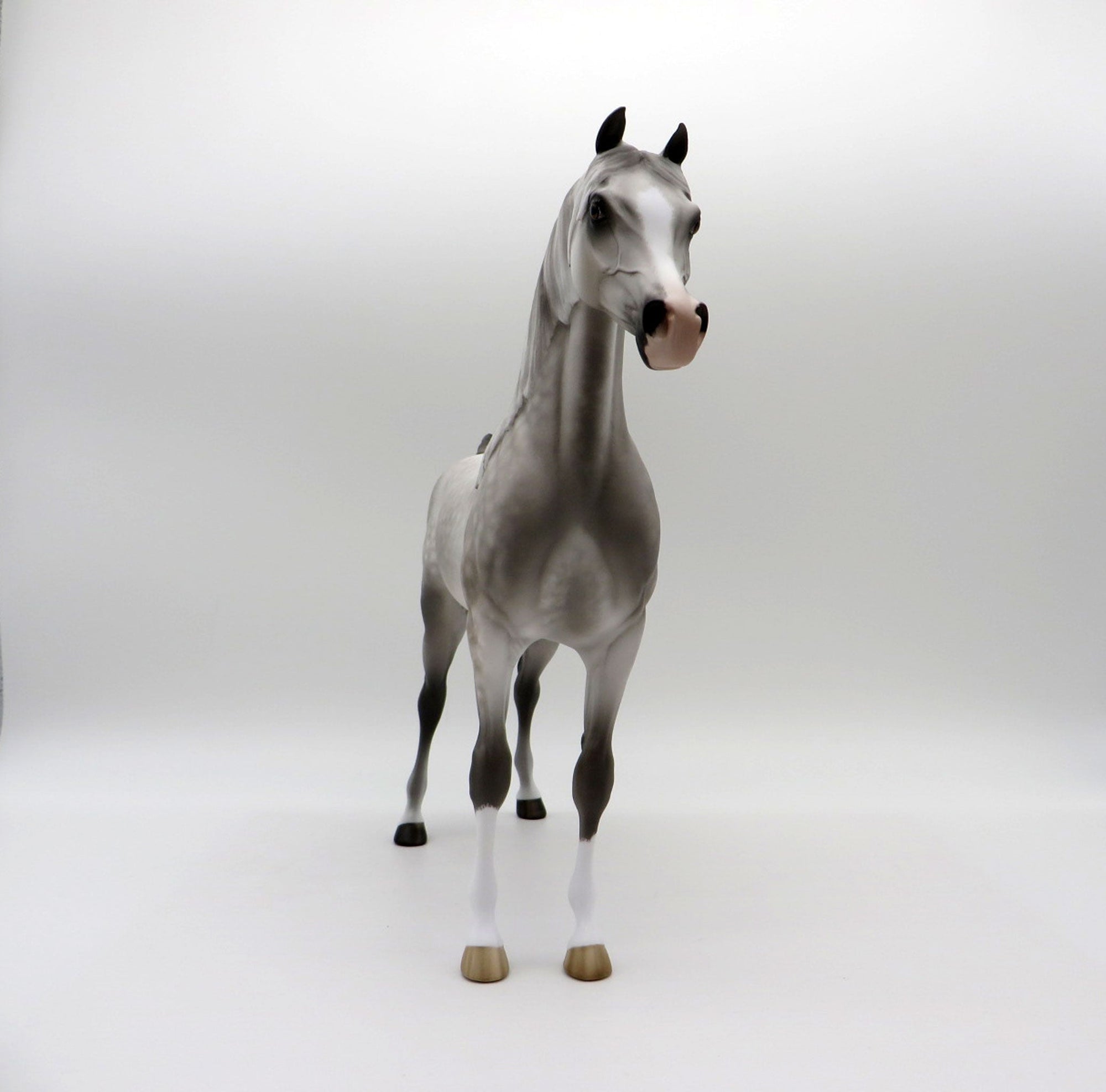 Sundae Everyday-OOAK Dapple Grey Arabian Painted By Sheryl Leisure 6/14/21