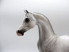 Sundae Everyday-OOAK Dapple Grey Arabian Painted By Sheryl Leisure 6/14/21