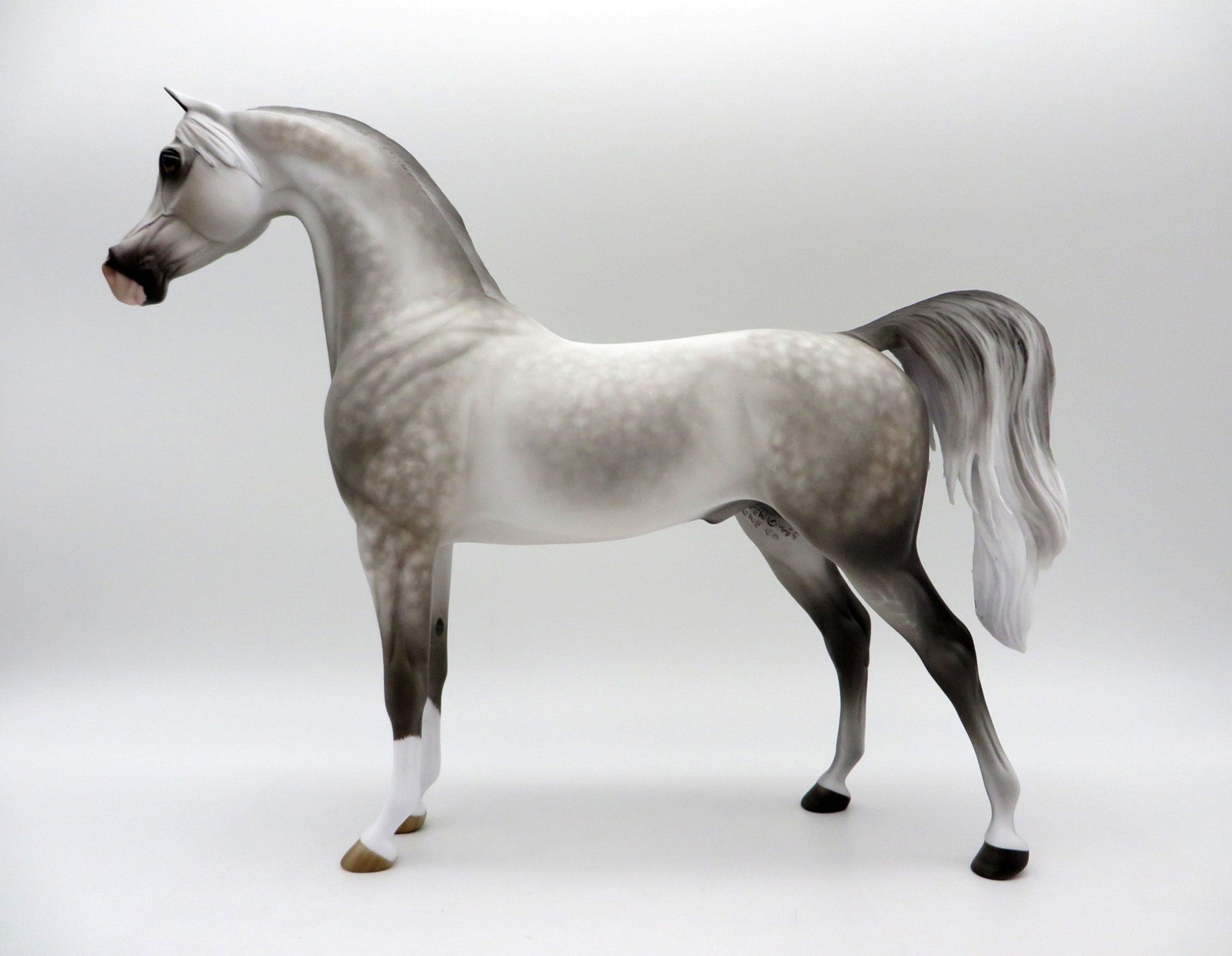 Sundae Everyday-OOAK Dapple Grey Arabian Painted By Sheryl Leisure 6/14/21