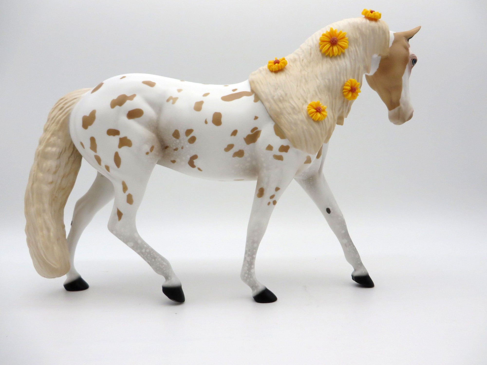 Sunflower-Le-20 Palomino Appaloosa Pony Painted By Audrey Dixon EQ 21