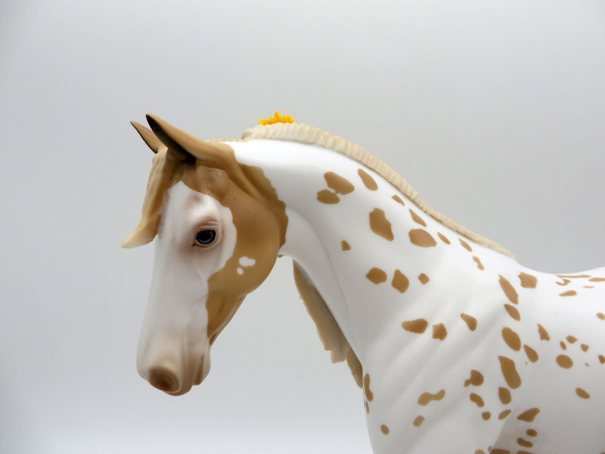 Sunflower-Le-20 Palomino Appaloosa Pony Painted By Audrey Dixon EQ 21