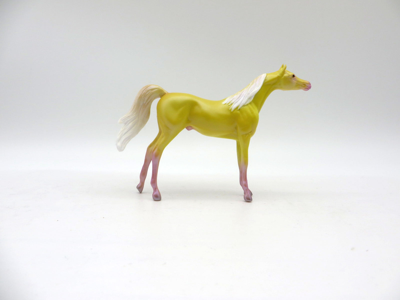 Sunny Days Ahead-OOAK Arabian Chips Decorator By Ellen Robbins 6/4/21