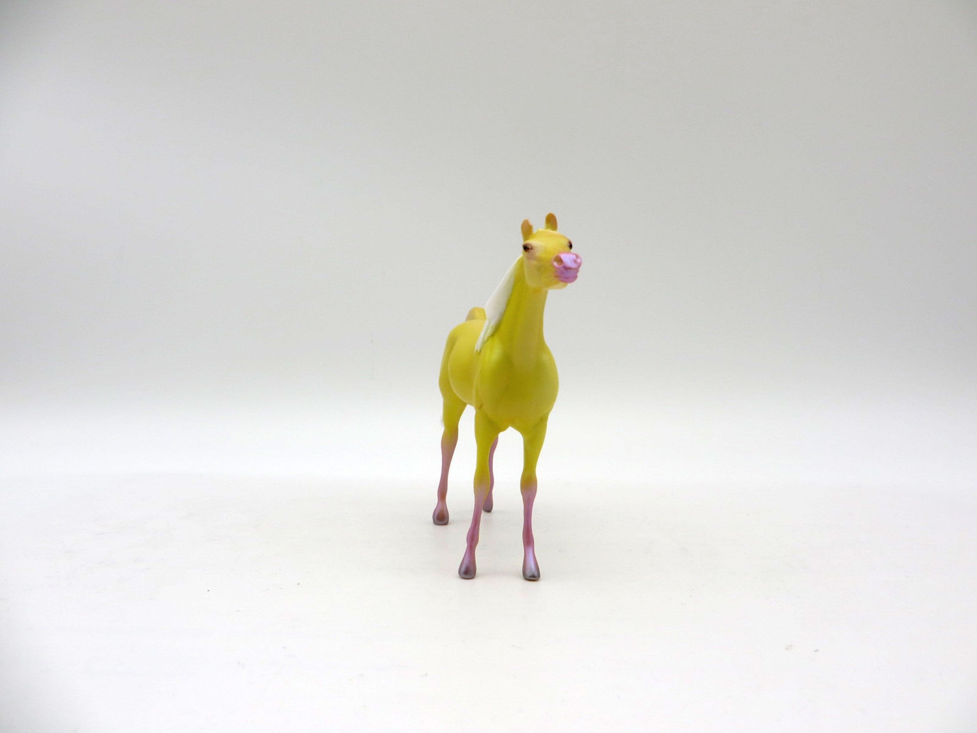 Sunny Days Ahead-OOAK Arabian Chips Decorator By Ellen Robbins 6/4/21