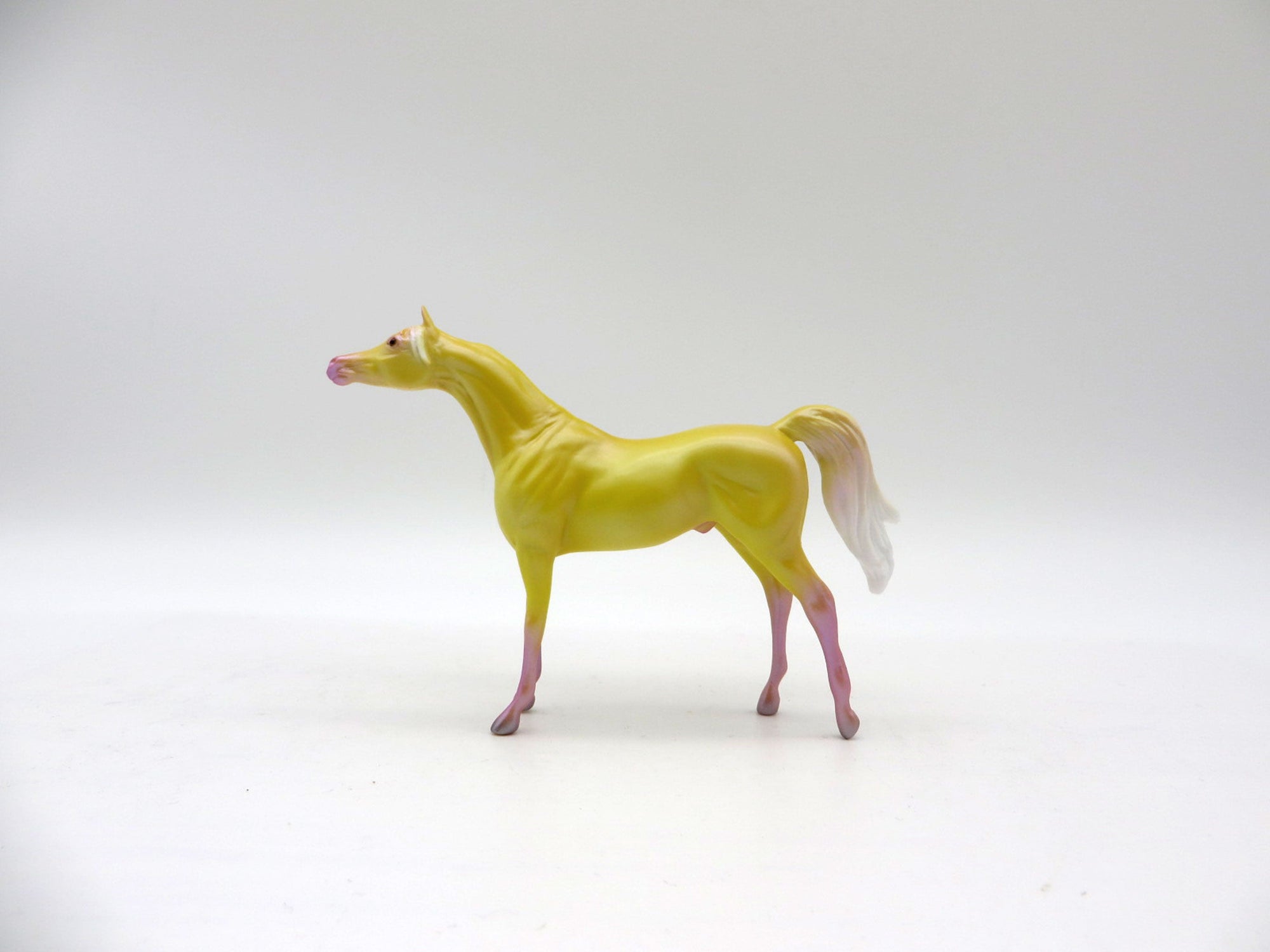 Sunny Days Ahead-OOAK Arabian Chips Decorator By Ellen Robbins 6/4/21