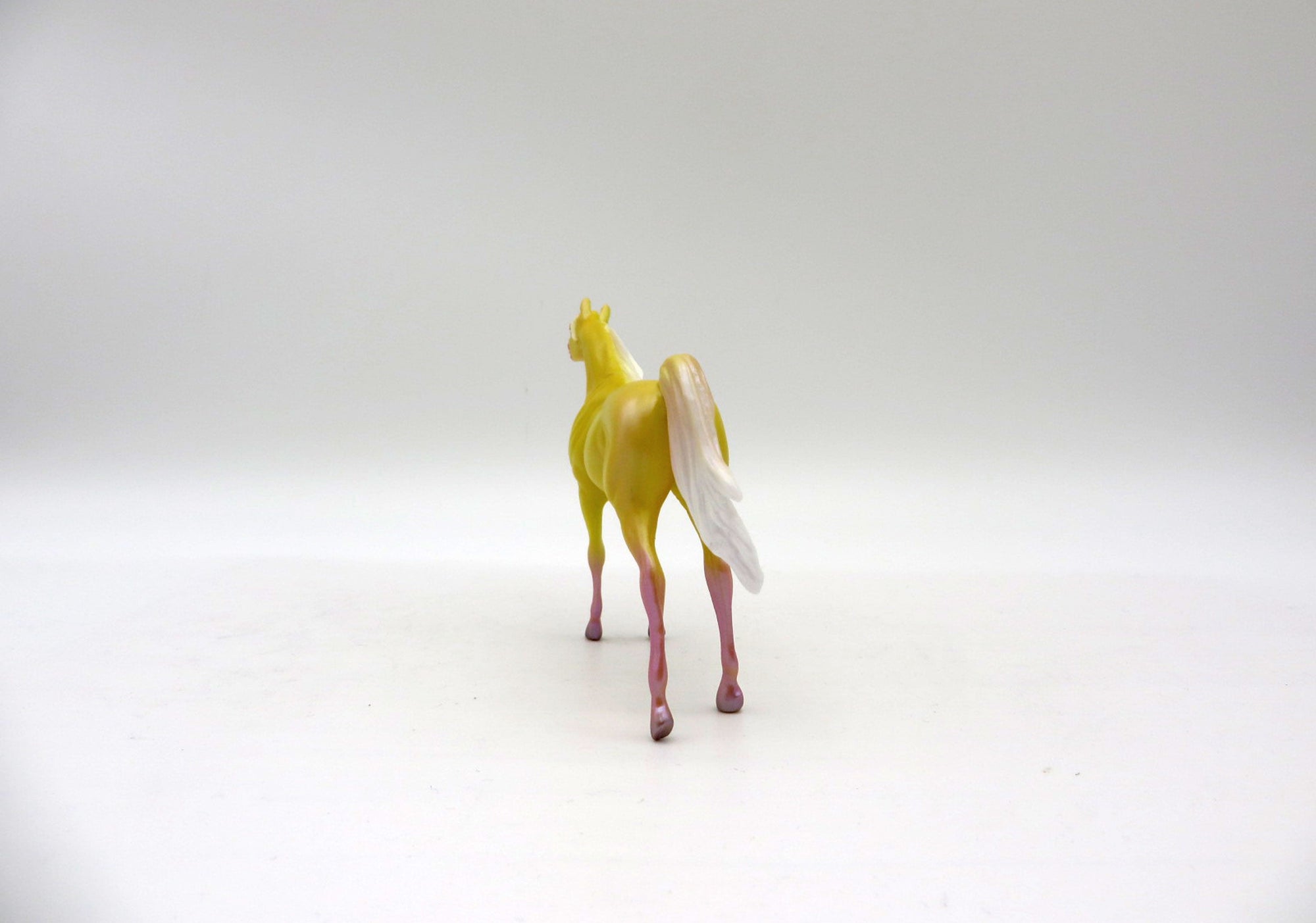 Sunny Days Ahead-OOAK Arabian Chips Decorator By Ellen Robbins 6/4/21