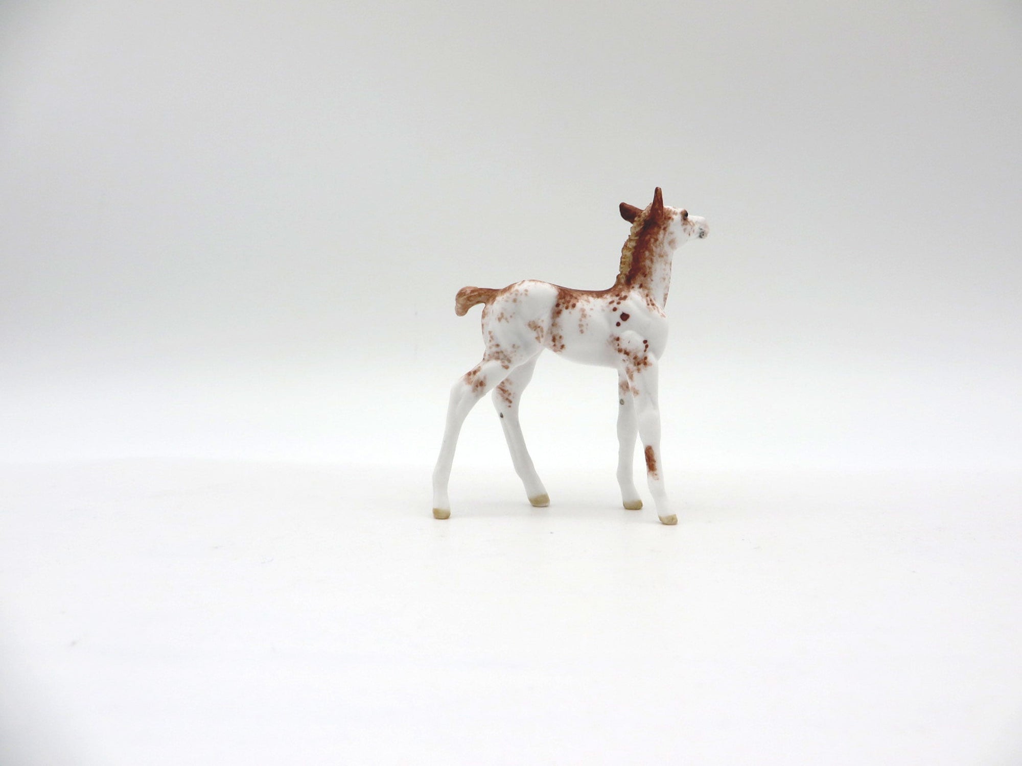 Sunshine-OOAK Chestnut Sabino Foal Chip SHCF 2021