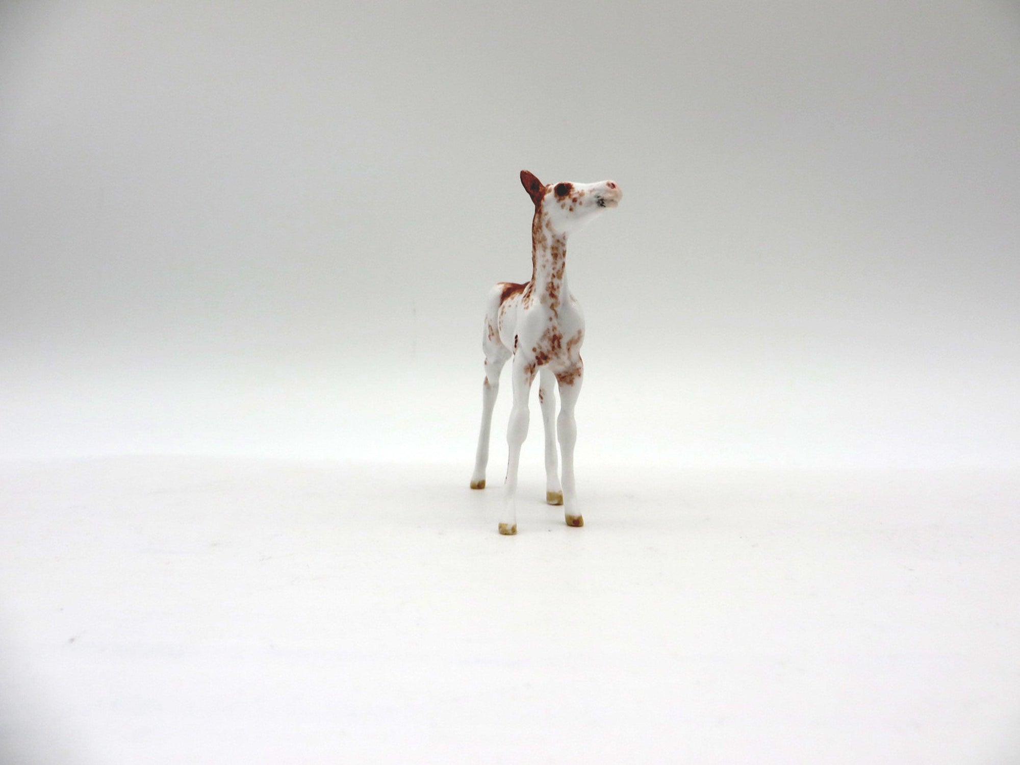 Sunshine-OOAK Chestnut Sabino Foal Chip SHCF 2021