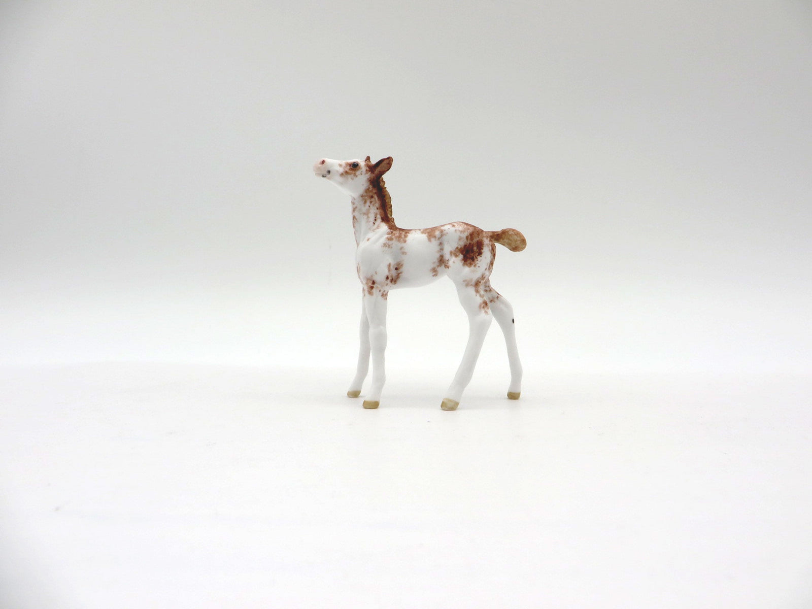 Sunshine-OOAK Chestnut Sabino Foal Chip SHCF 2021