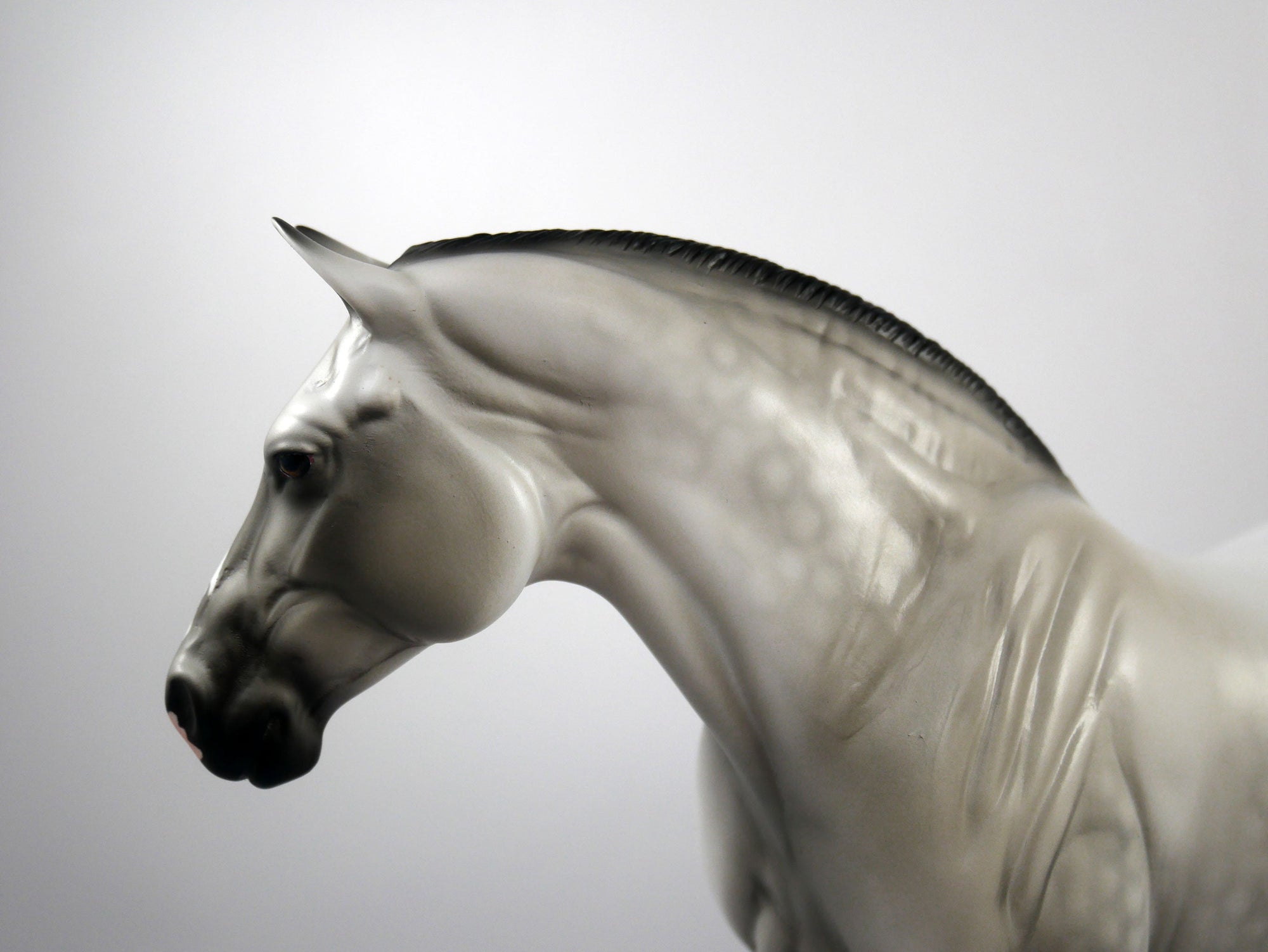 Super Fan-OOAK  Dapple Grey Heavy Draft Mare SB21