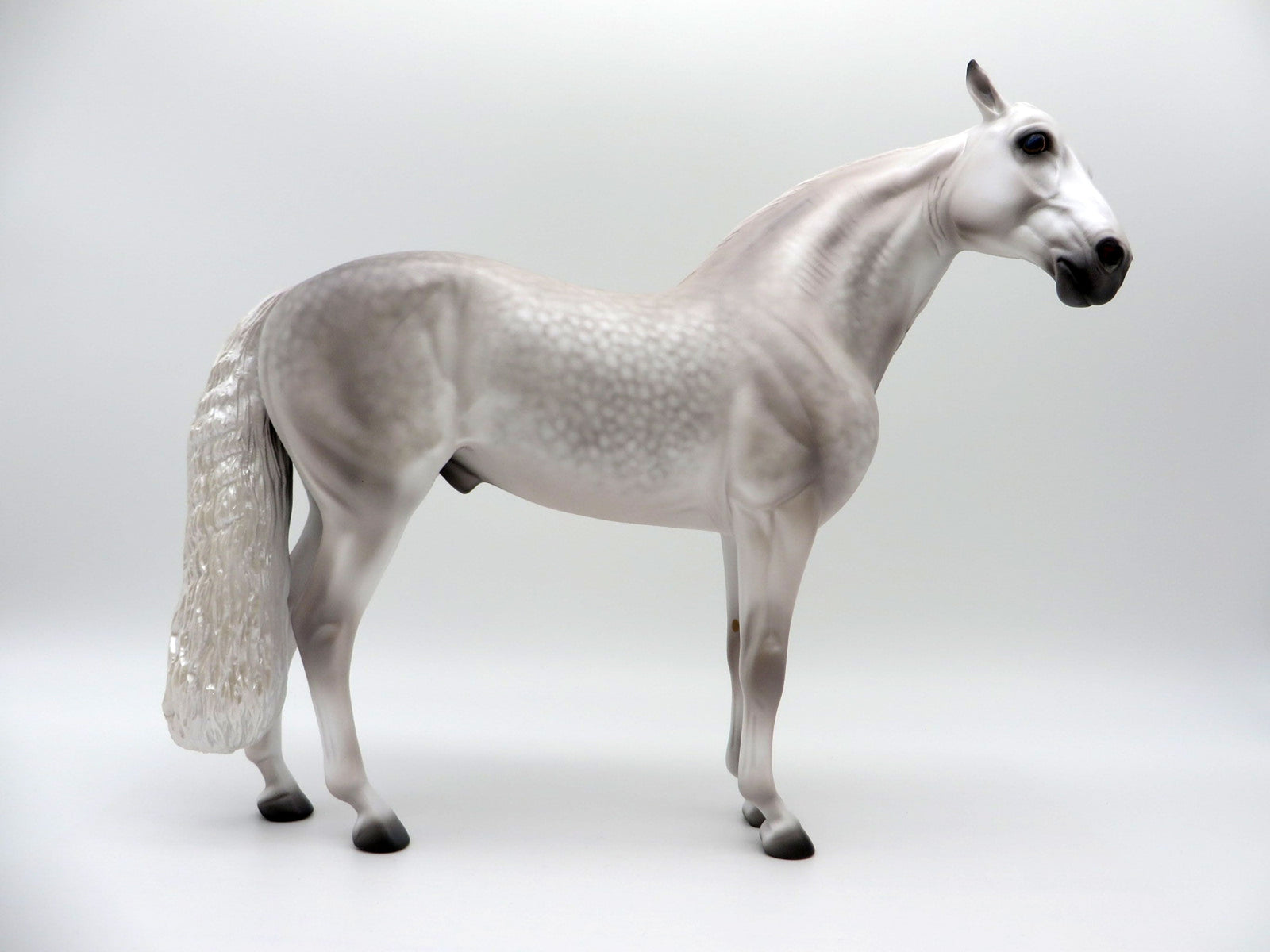 Superior-OOAK Dapple Grey Andalusian Painted by Caroline Boydston