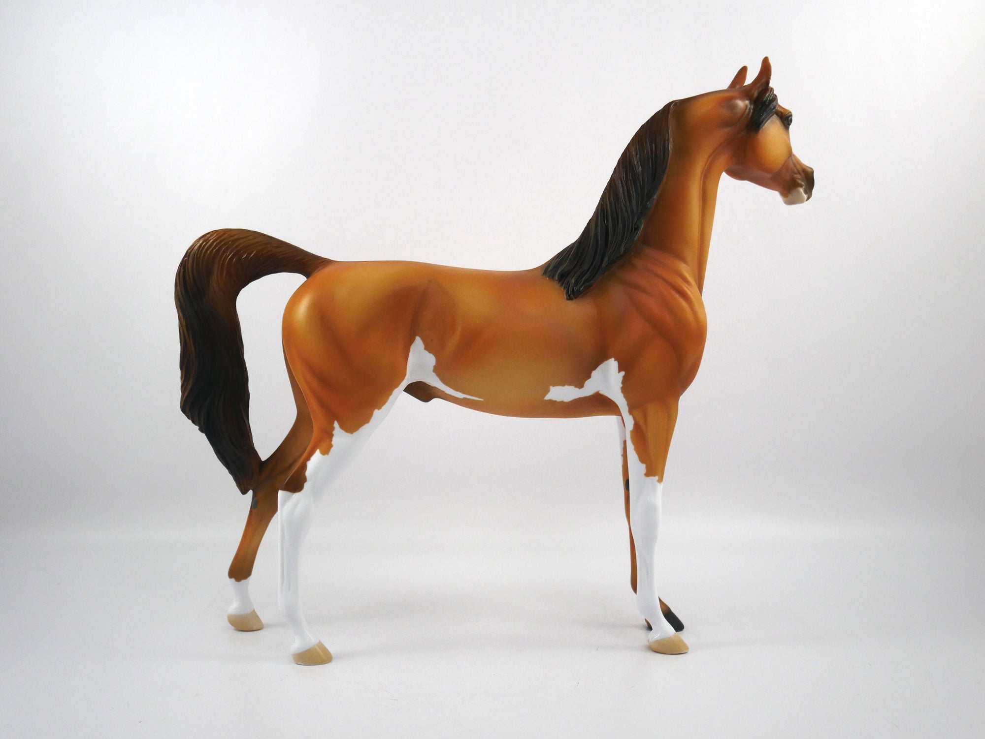 Sure Win-OOAK Golden Chestnut Paint Arabian SB21