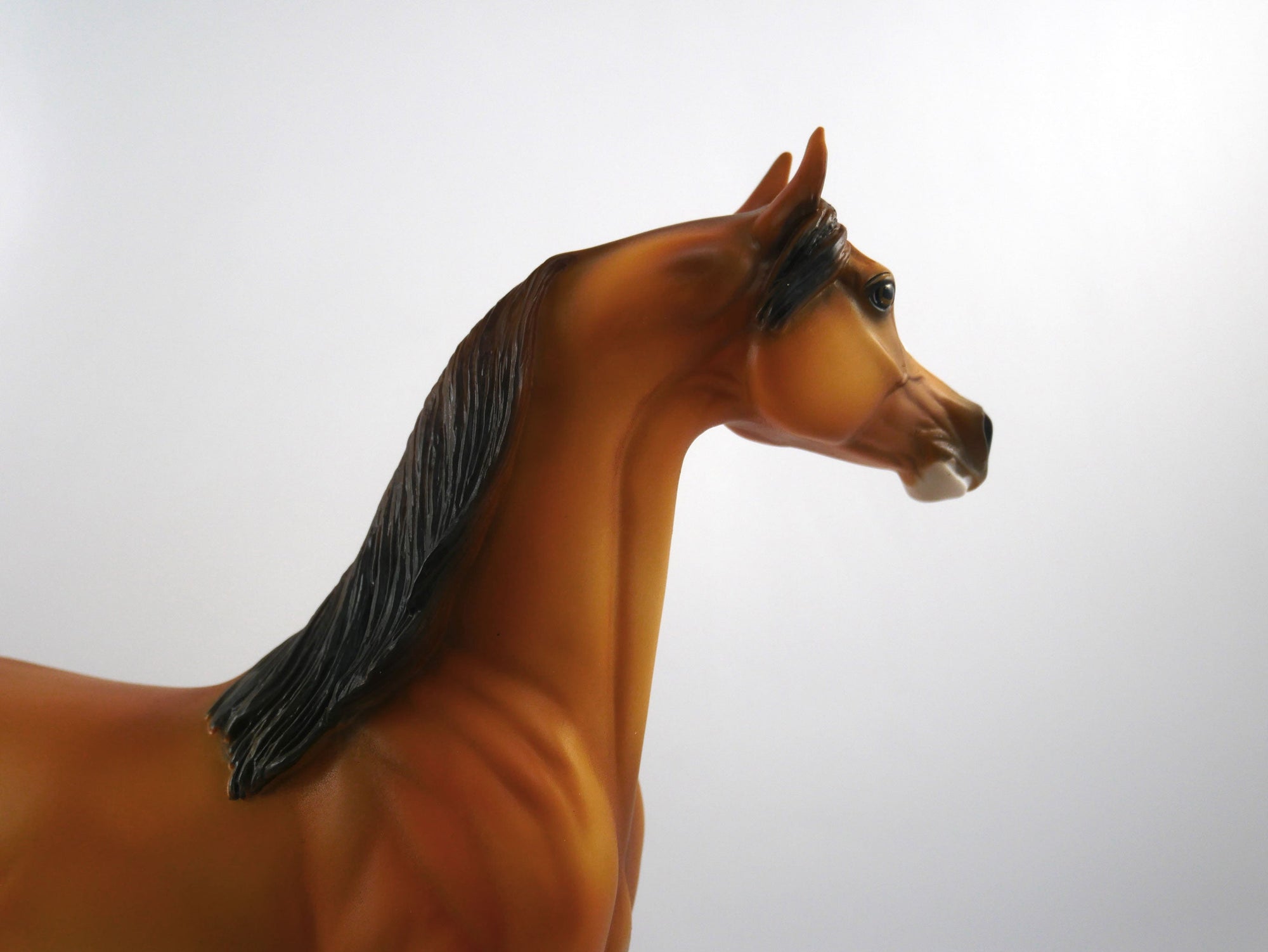 Sure Win-OOAK Golden Chestnut Paint Arabian SB21