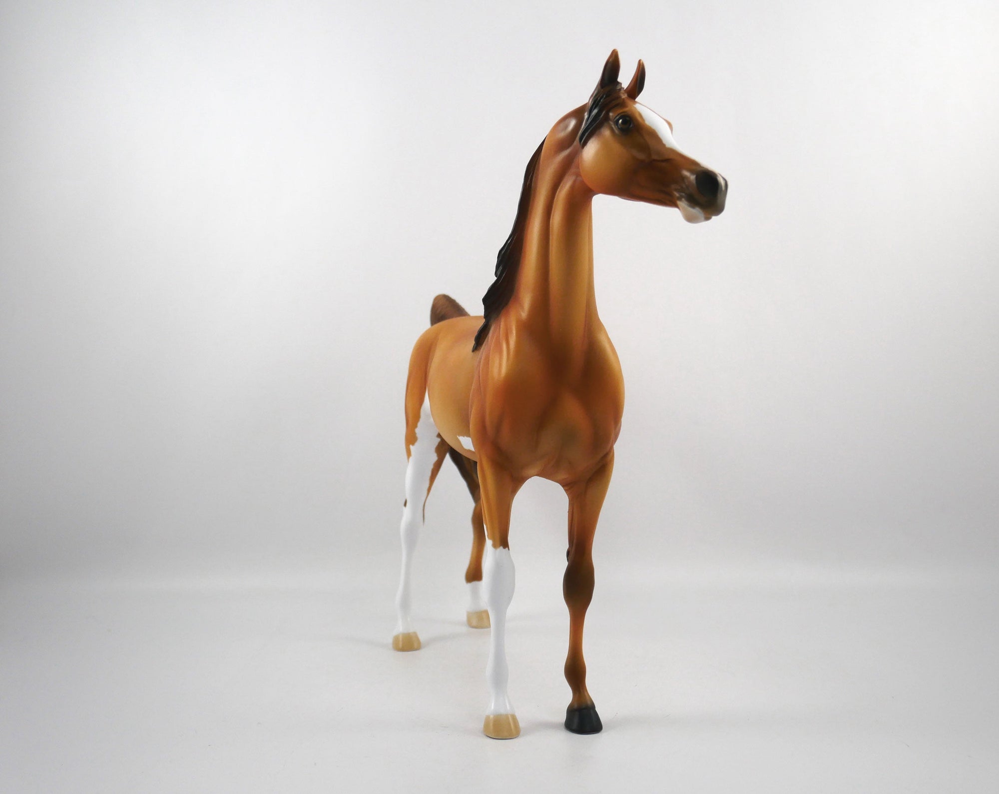 Sure Win-OOAK Golden Chestnut Paint Arabian SB21