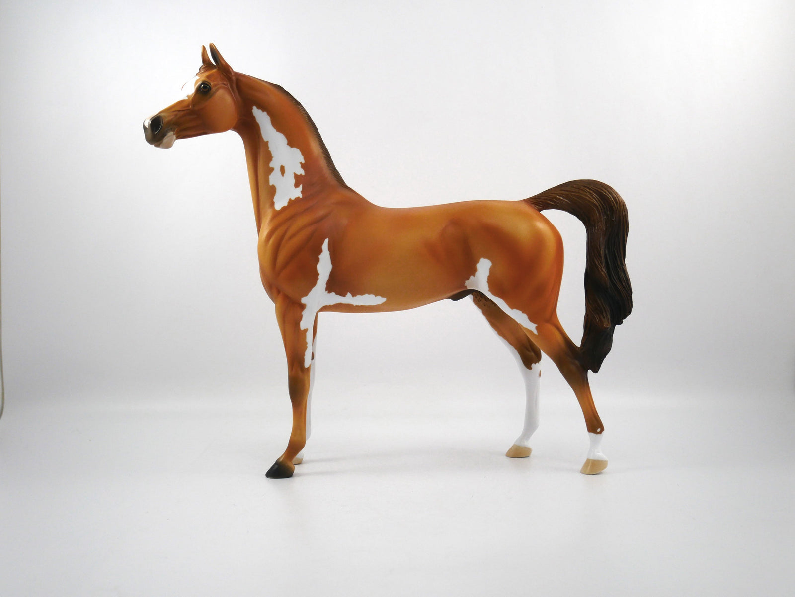 Sure Win-OOAK Golden Chestnut Paint Arabian SB21