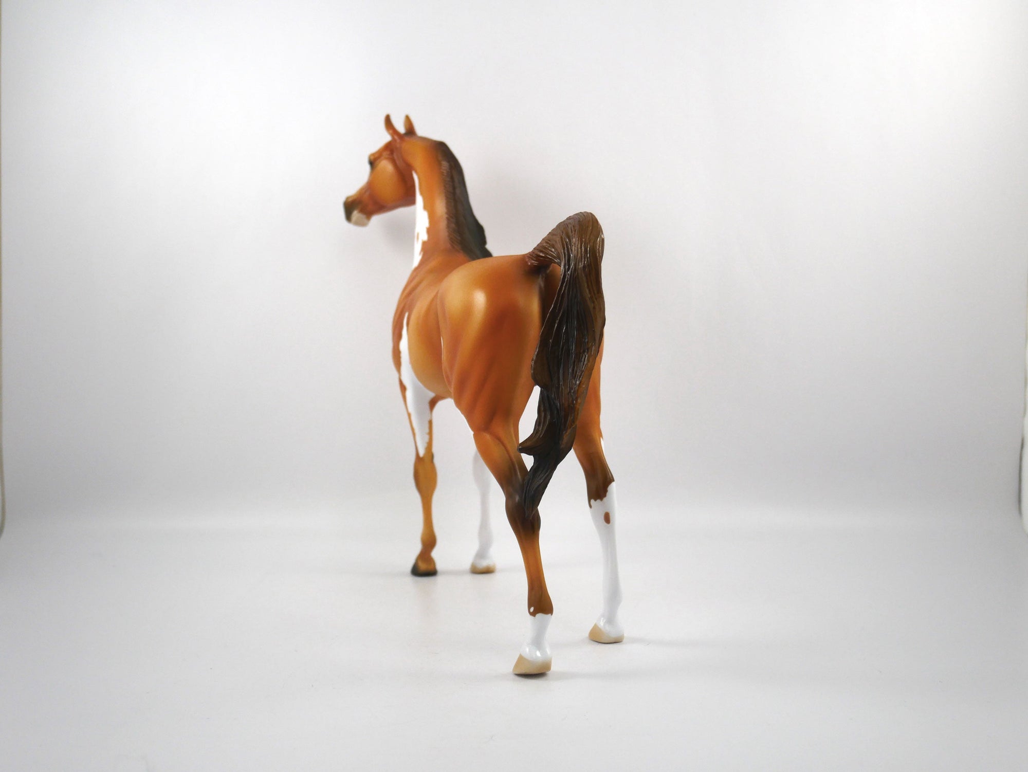 Sure Win-OOAK Golden Chestnut Paint Arabian SB21