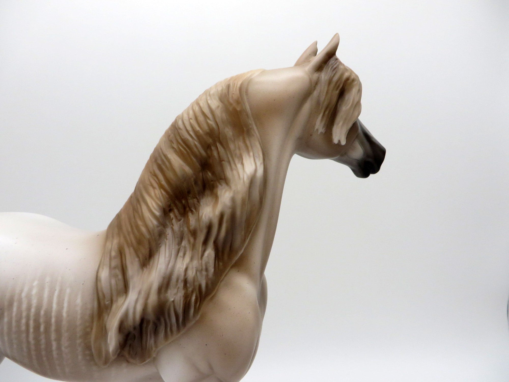 Surf Foam- Chestnut Roan Rabicano Morgan Painted by Sheryl Leisure 8/9/21