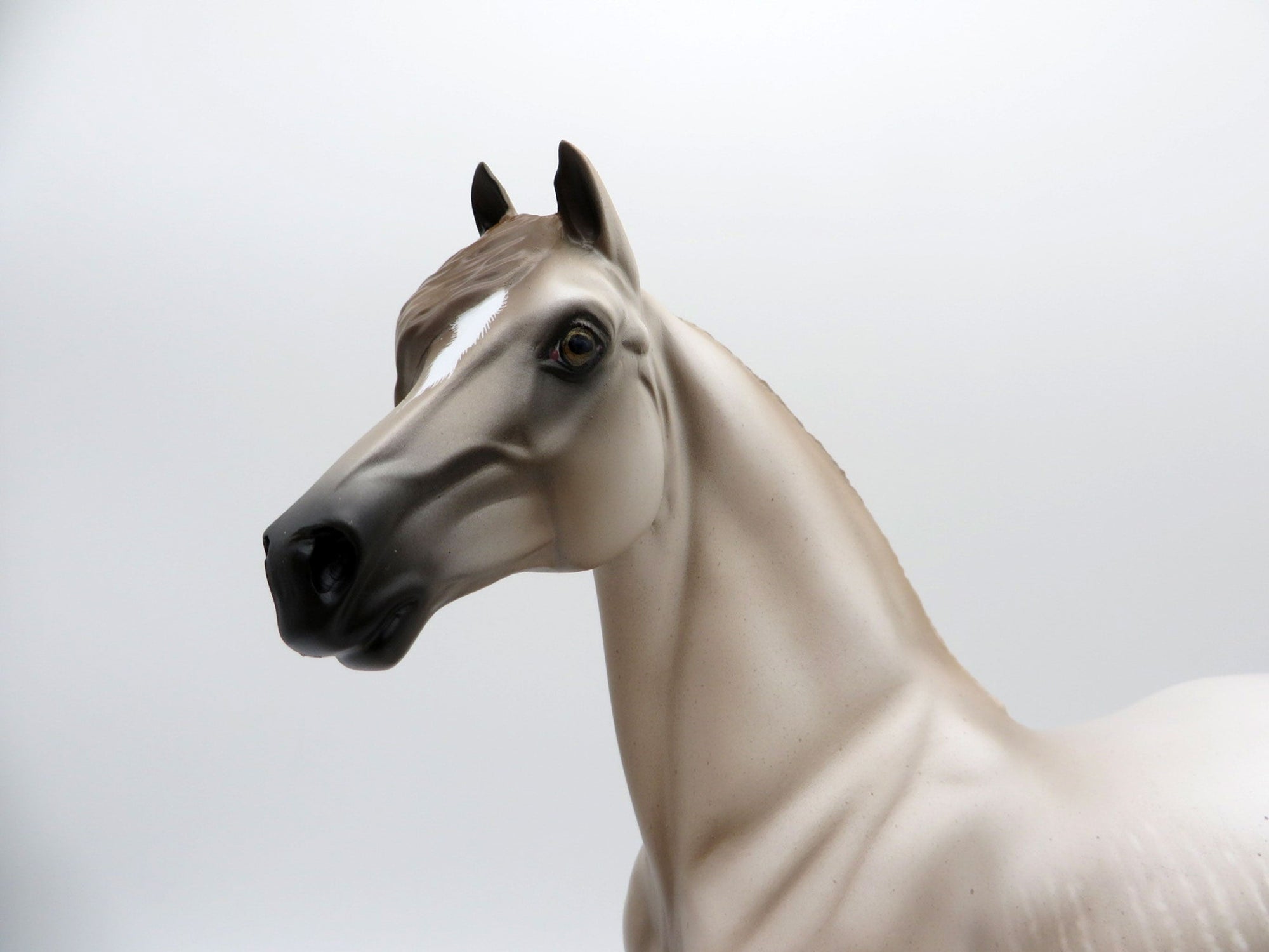 Surf Foam- Chestnut Roan Rabicano Morgan Painted by Sheryl Leisure 8/9/21