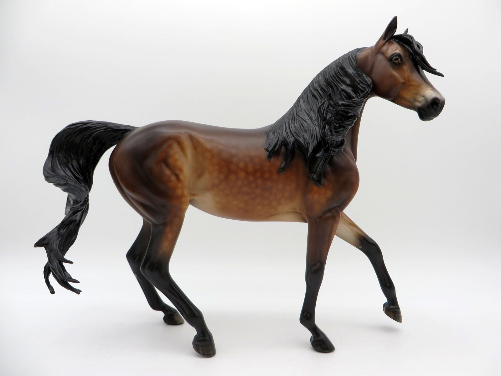 Surf Song-OOAK Dapple Bay Arabian Painted by Sheryl Leisure 8/9/21