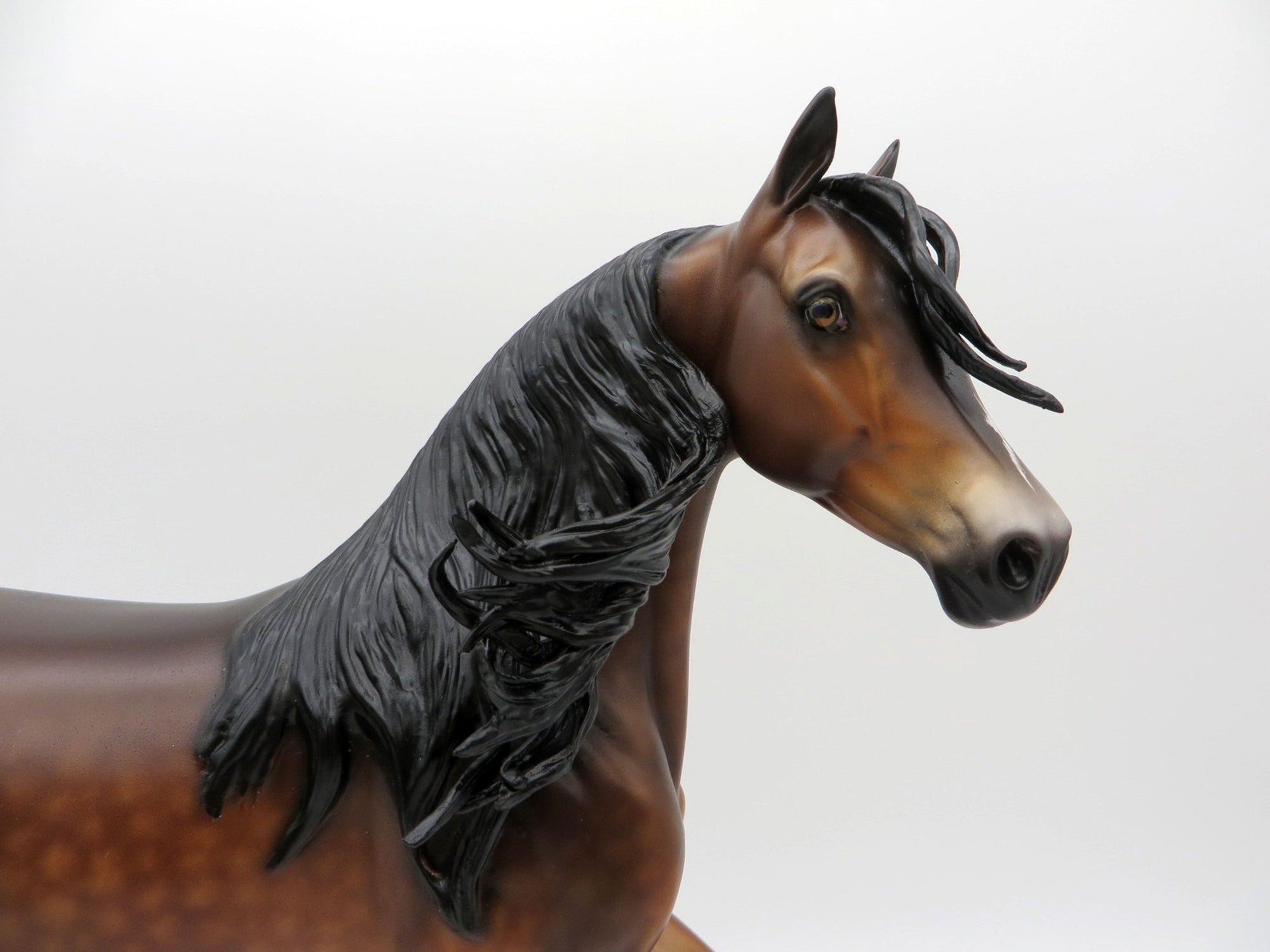 Surf Song-OOAK Dapple Bay Arabian Painted by Sheryl Leisure 8/9/21