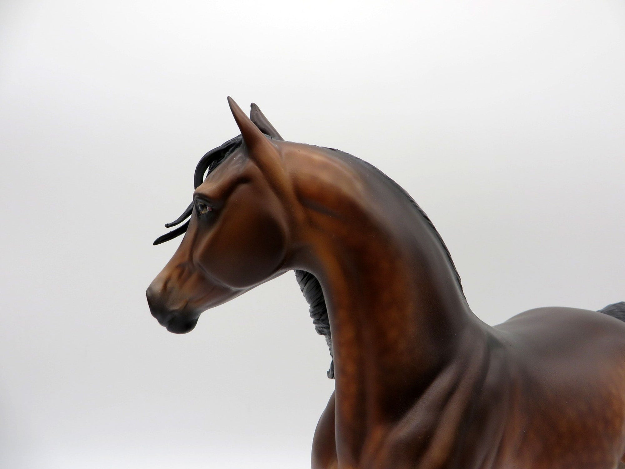 Surf Song-OOAK Dapple Bay Arabian Painted by Sheryl Leisure 8/9/21