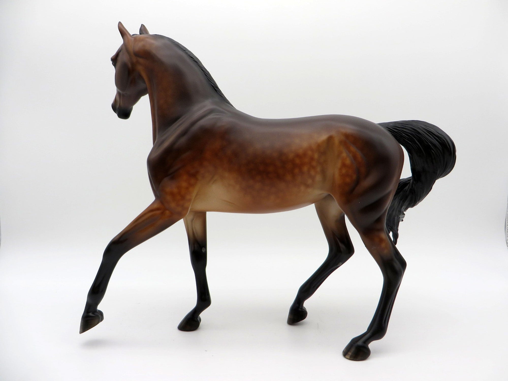 Surf Song-OOAK Dapple Bay Arabian Painted by Sheryl Leisure 8/9/21