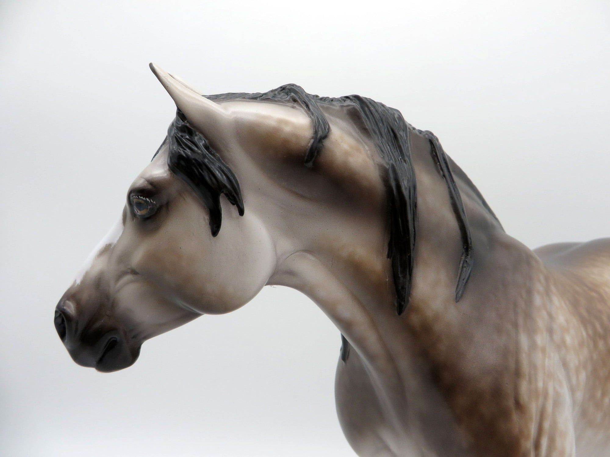 Sussudio- OOAK Dapple Grey Heavy Drafter Mare Painted By Sheryl Leisure 7/19/21