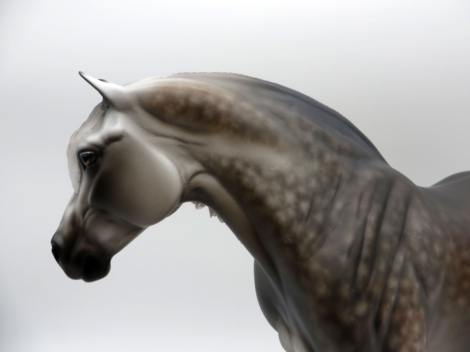 Sweet Treat-OOAK Dapple Grey Heavy Draft Mare Painted By Sheryl Leisure 6/14/21