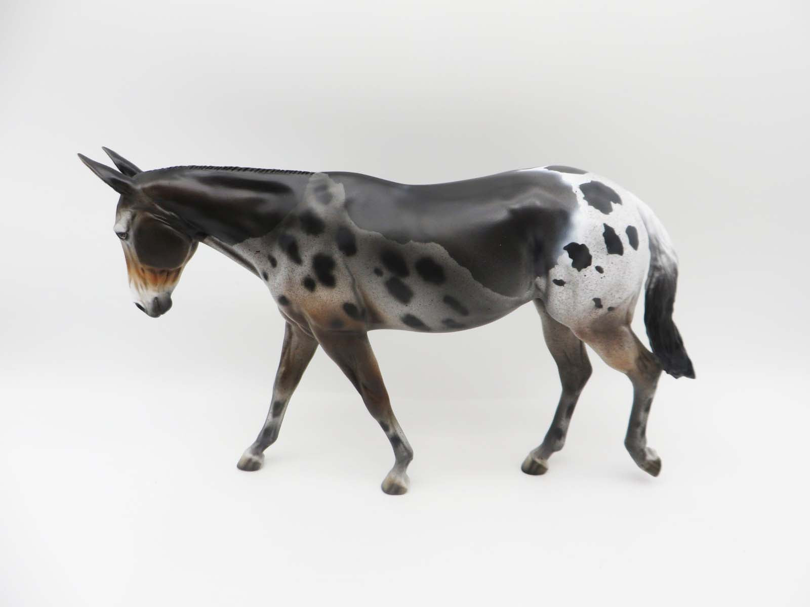 Sugar Lips- OOAK - Loud Appaloosa Mule By Dawn Quick SHCF 23