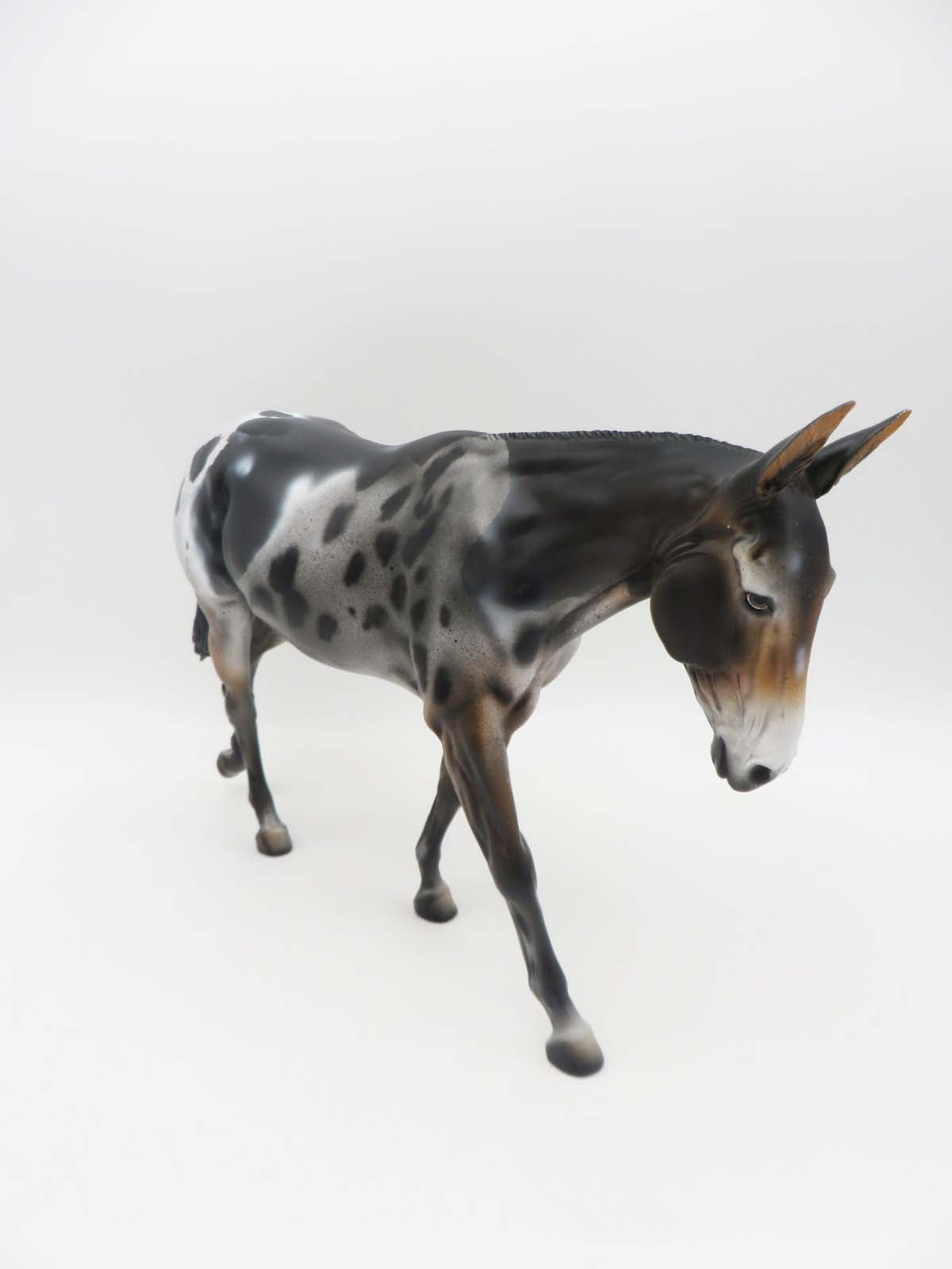 Sugar Lips- OOAK - Loud Appaloosa Mule By Dawn Quick SHCF 23