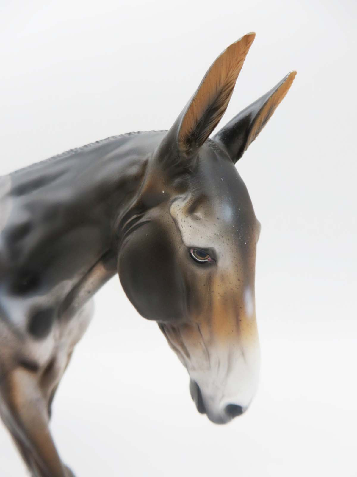 Sugar Lips- OOAK - Loud Appaloosa Mule By Dawn Quick SHCF 23