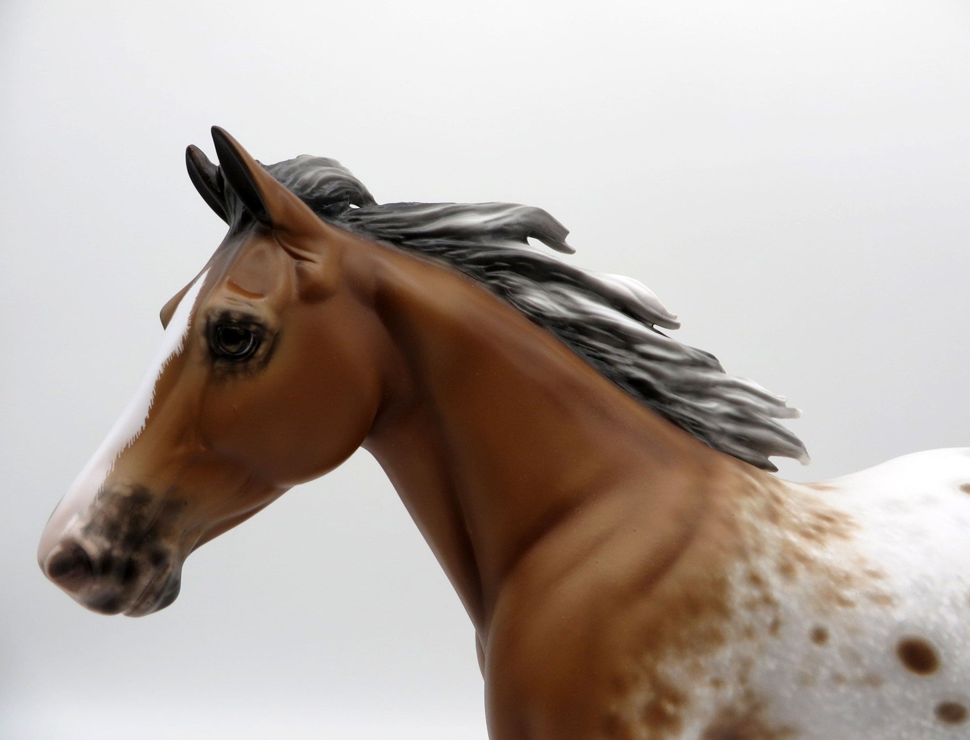Swinger-OOAK Bay Pinto Palouse Painted By Sheryl Leisure 5/17/21