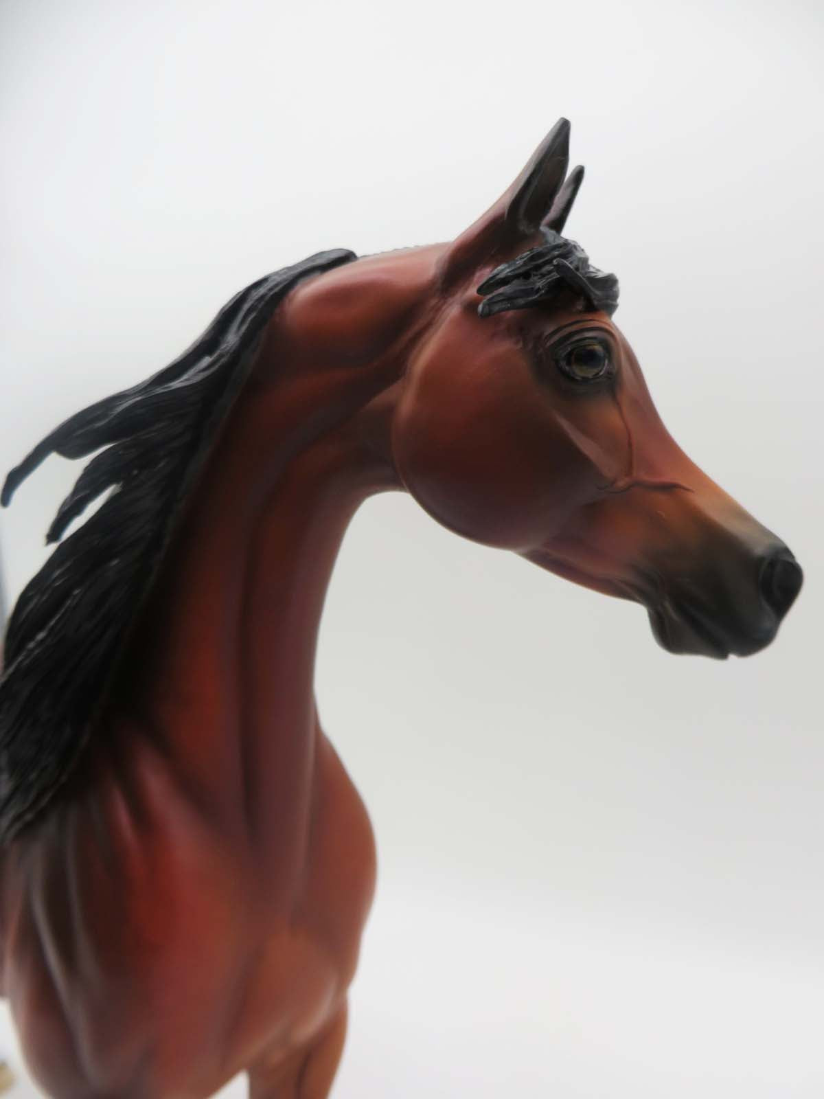 The Legend Lives On - OOAK - Dappled Bay Arabian By Ellen Robbins - SHCF23 Best Offer