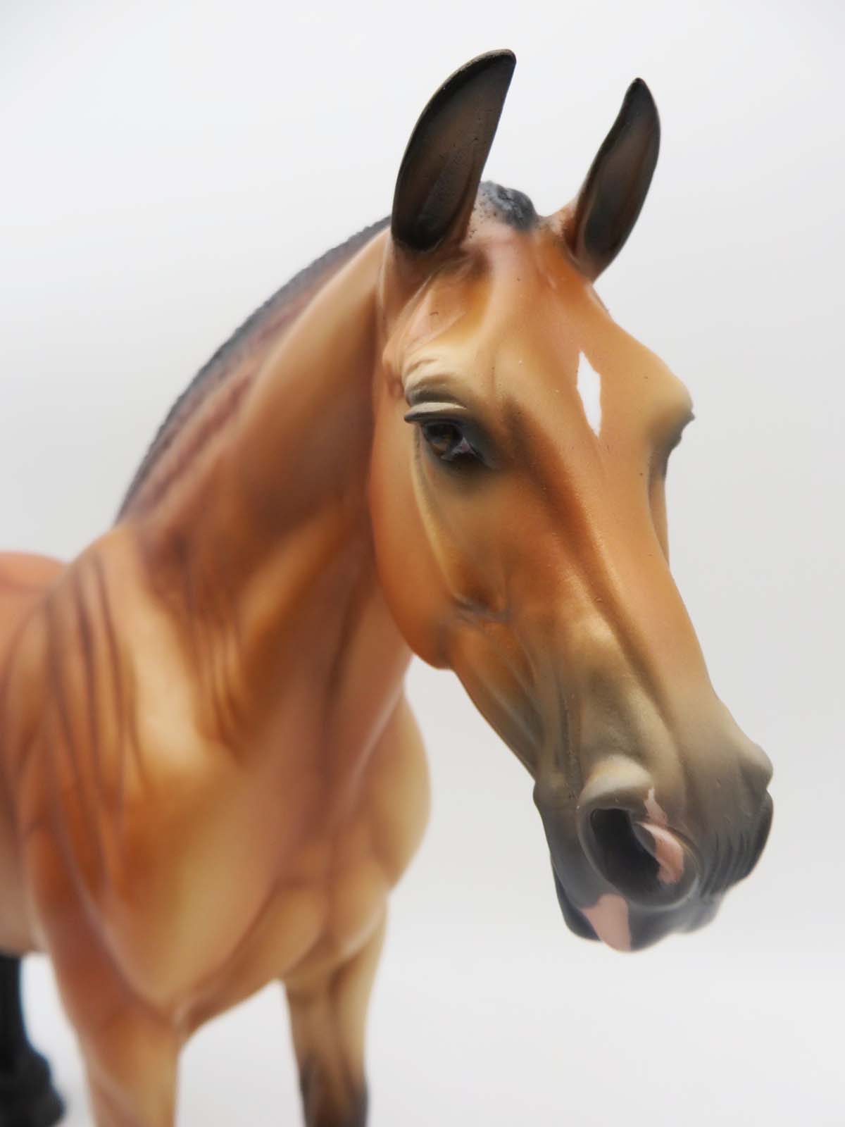 The Sting of Wisdom - OOAK - Light Bay Heavy Draft By Ellen Robbins - SHCF23