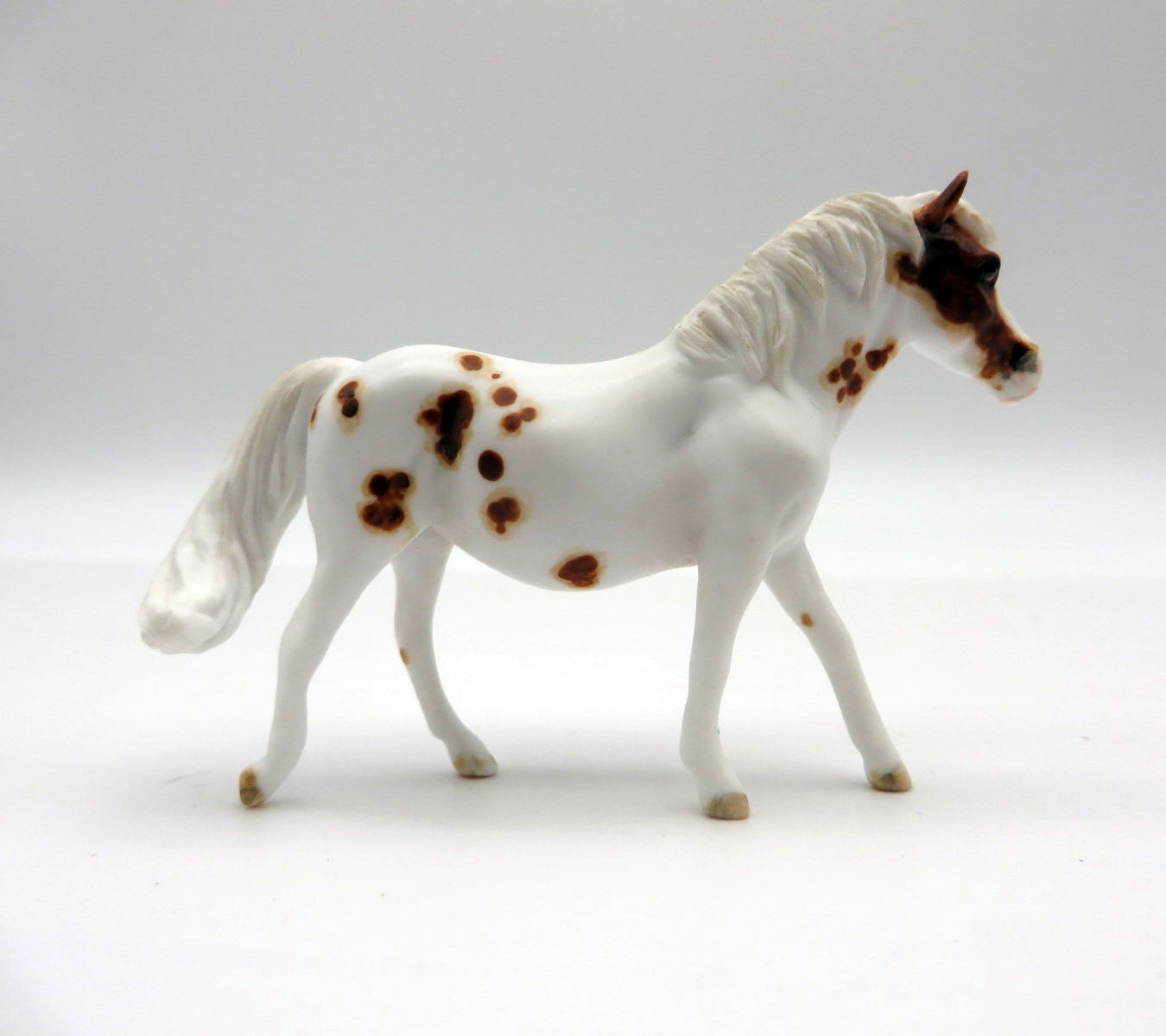 TORTUGAS -OOAK Chestnut Appaloosa Pony Chip LHS 22