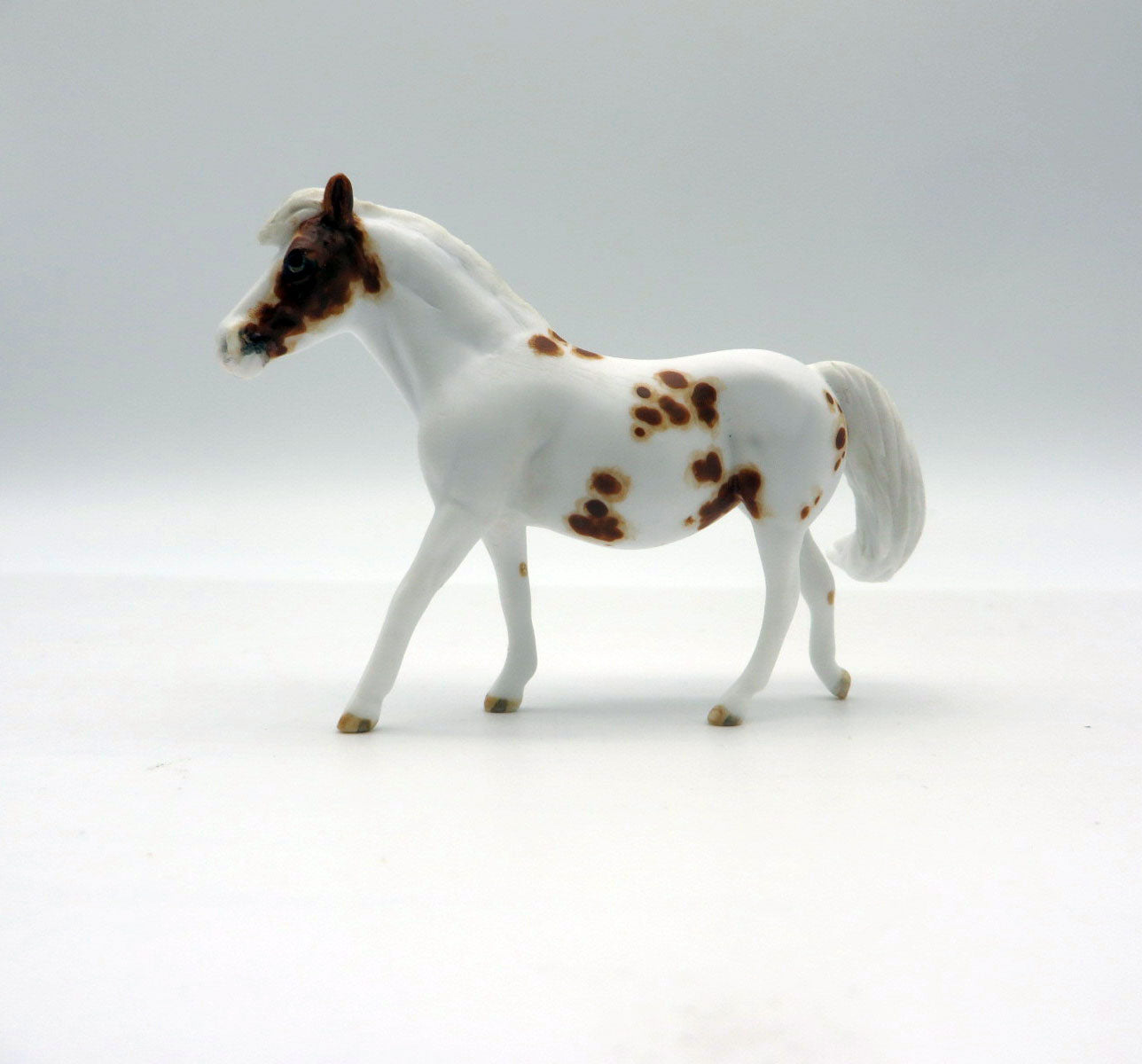 TORTUGAS -OOAK Chestnut Appaloosa Pony Chip LHS 22