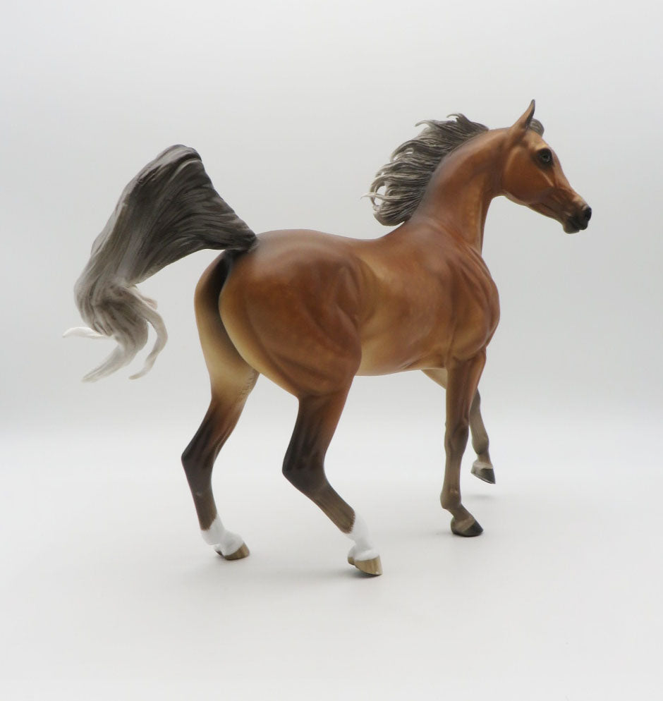 TRACY SAMANTHA - OOAK Silver Bay Arabian Painted by Sheryl Leisure 9/19/22