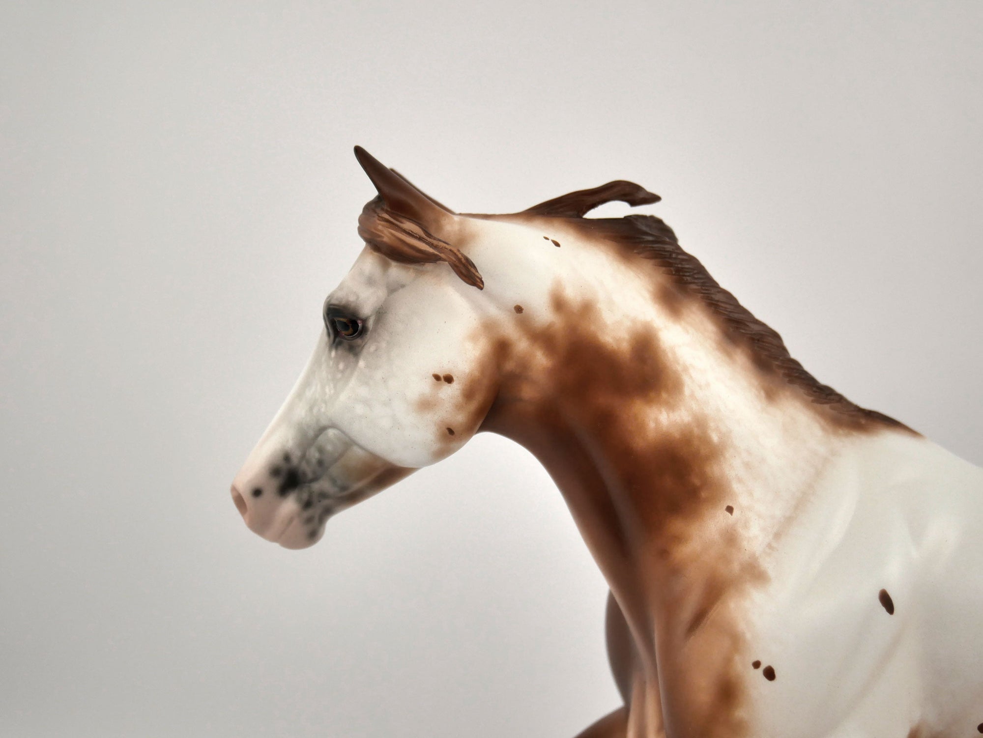 Tsula-OOAK Foundation Quater Horse By Sheryl Leisure MM2020